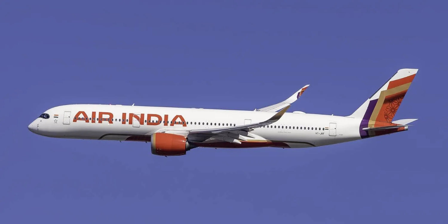 Air India Domestic Baggage Allowance and Rules
