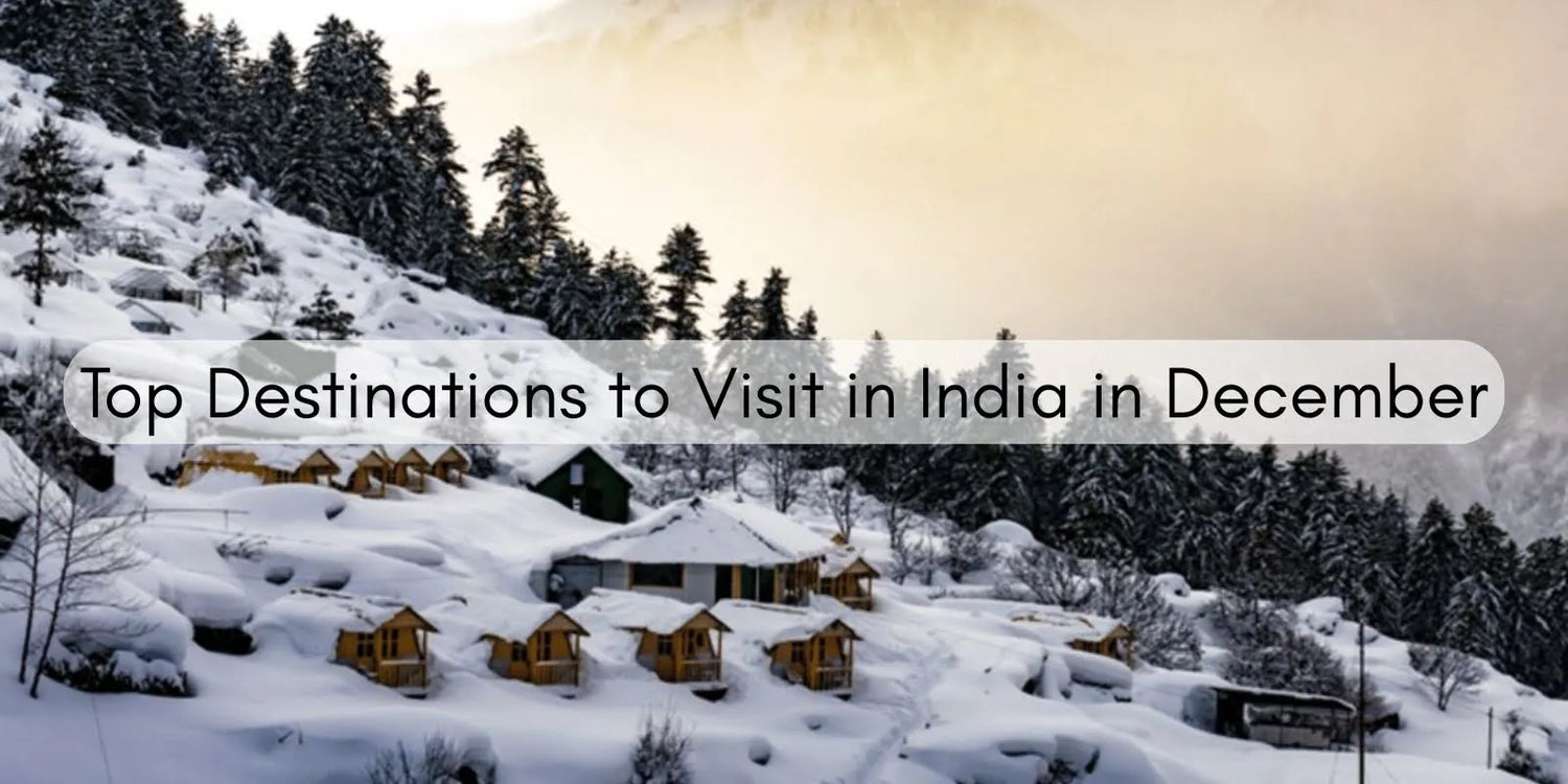 Top Destinations to Visit in India in December