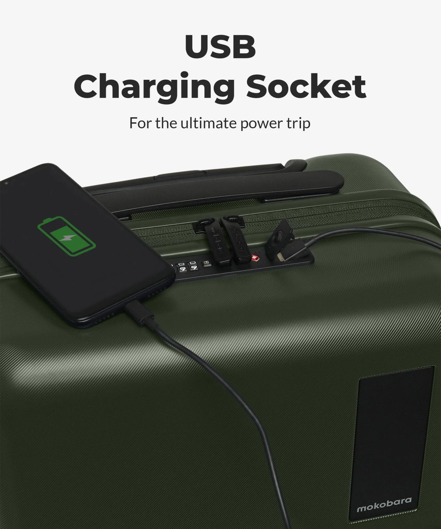 Color_Forest Sunray (Limited Edition) | The Set of 2 Luggage