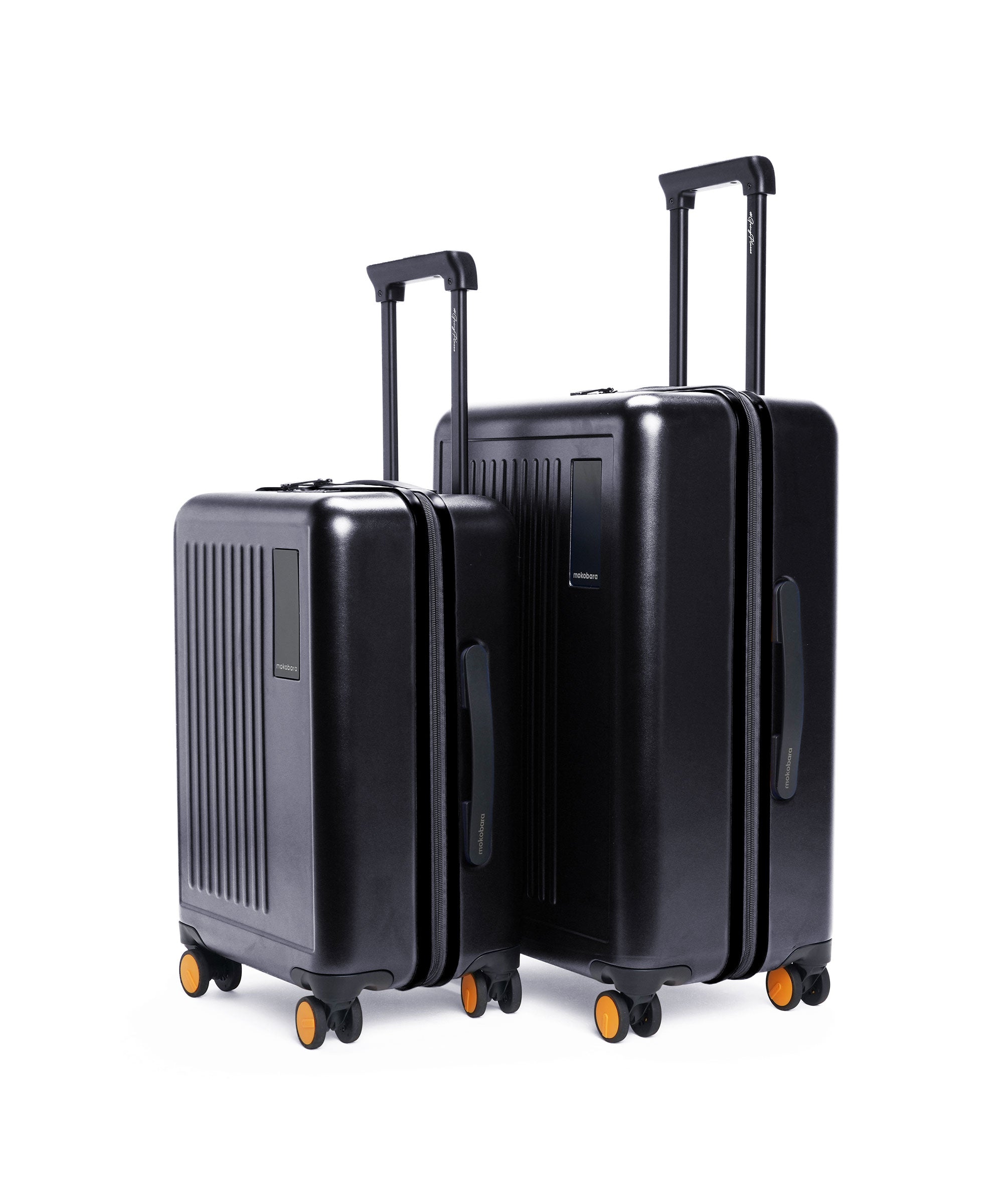 Color_Crypto | The Transit Luggage - Set of 2
