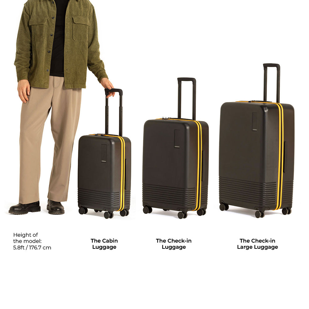 Color_Ocean Sunray | The Iconic Luggage_Set of 2(Check-in + Check-in Large)