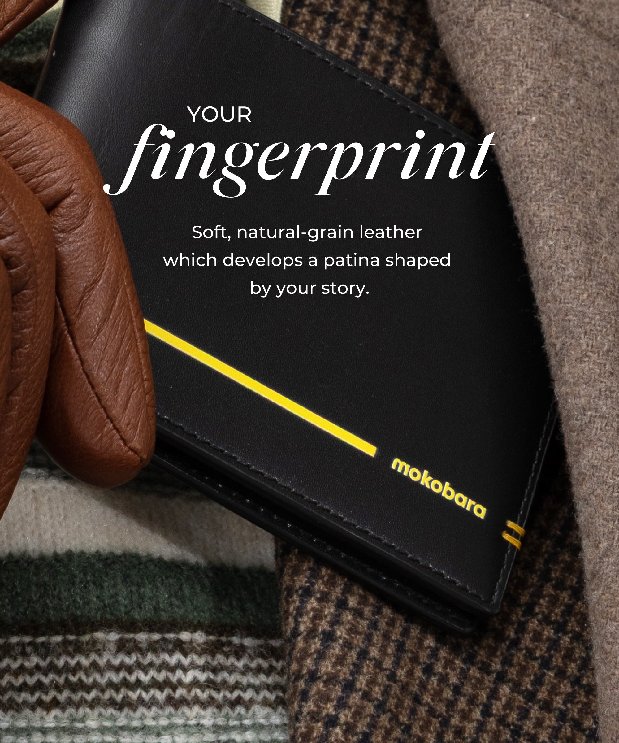 Color_ Money moves wallet | Bifold wallet