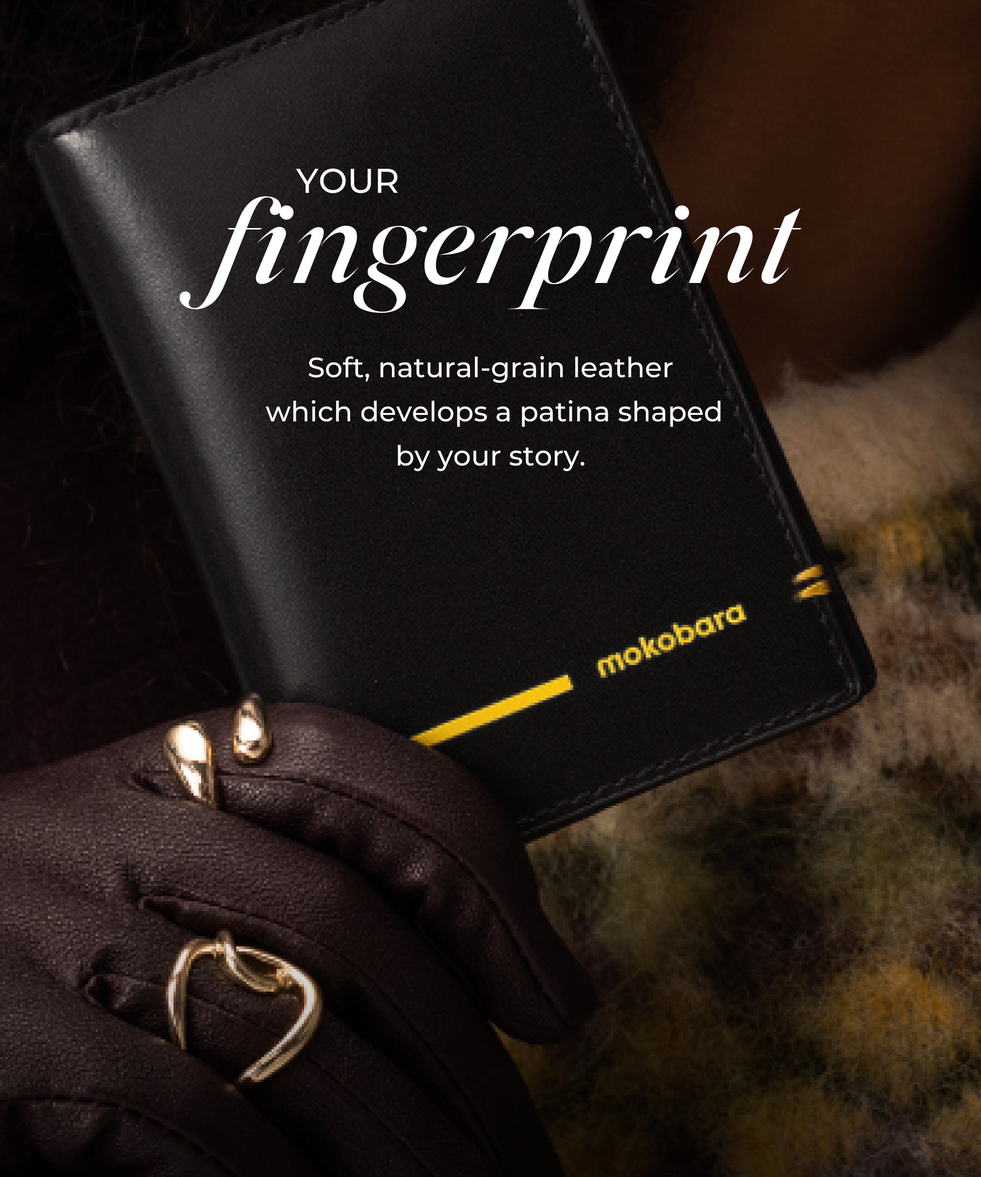 Color_Money Moves | Stash Card Case