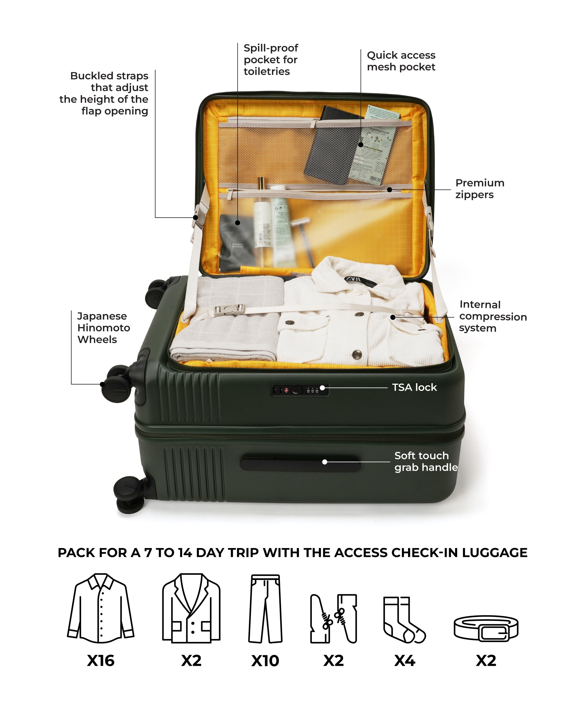Color_Seaweed Green 2.0 | The Access Check-in Luggage