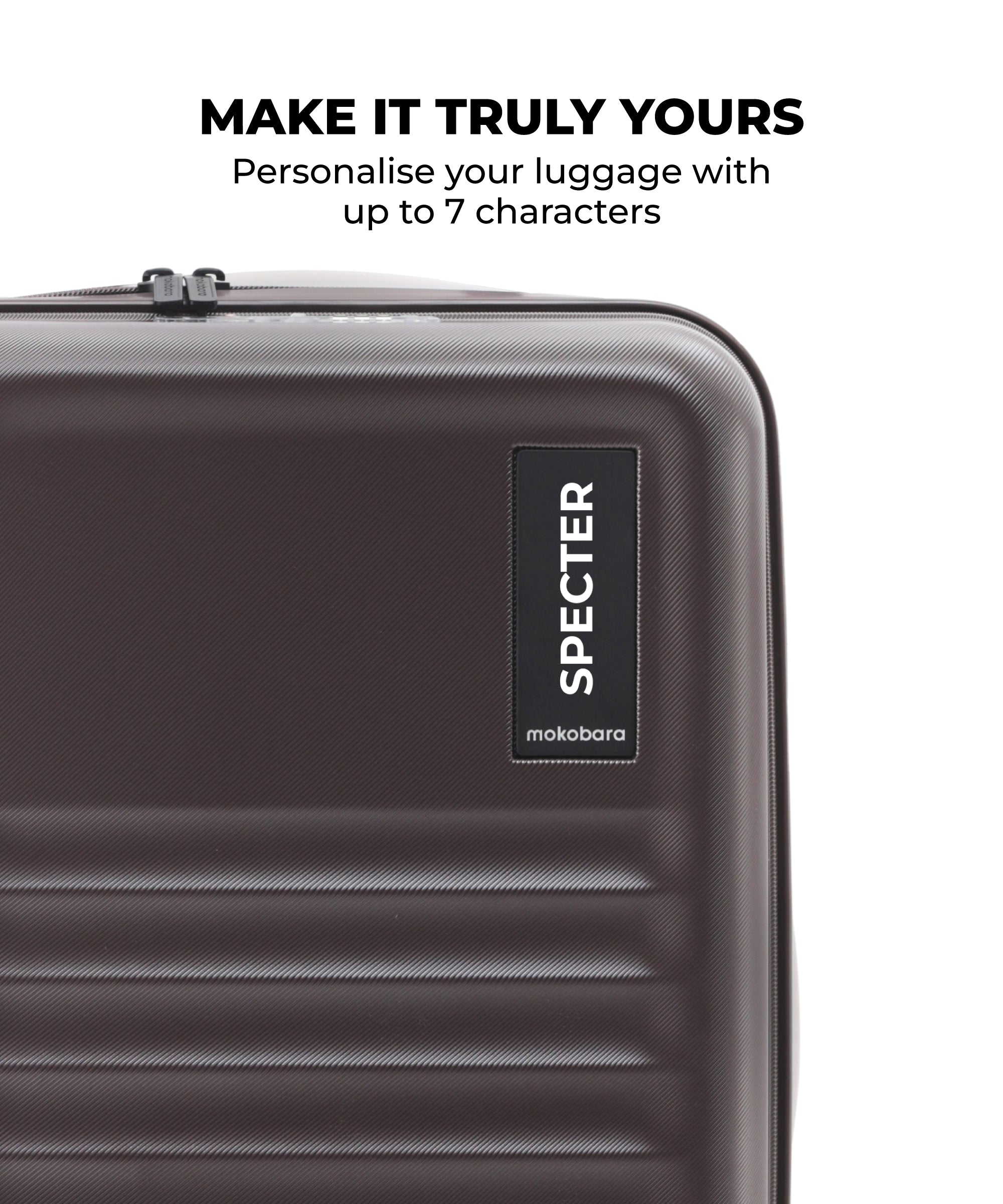 Color_Cool Beans | The Aisle Trunk - Cabin