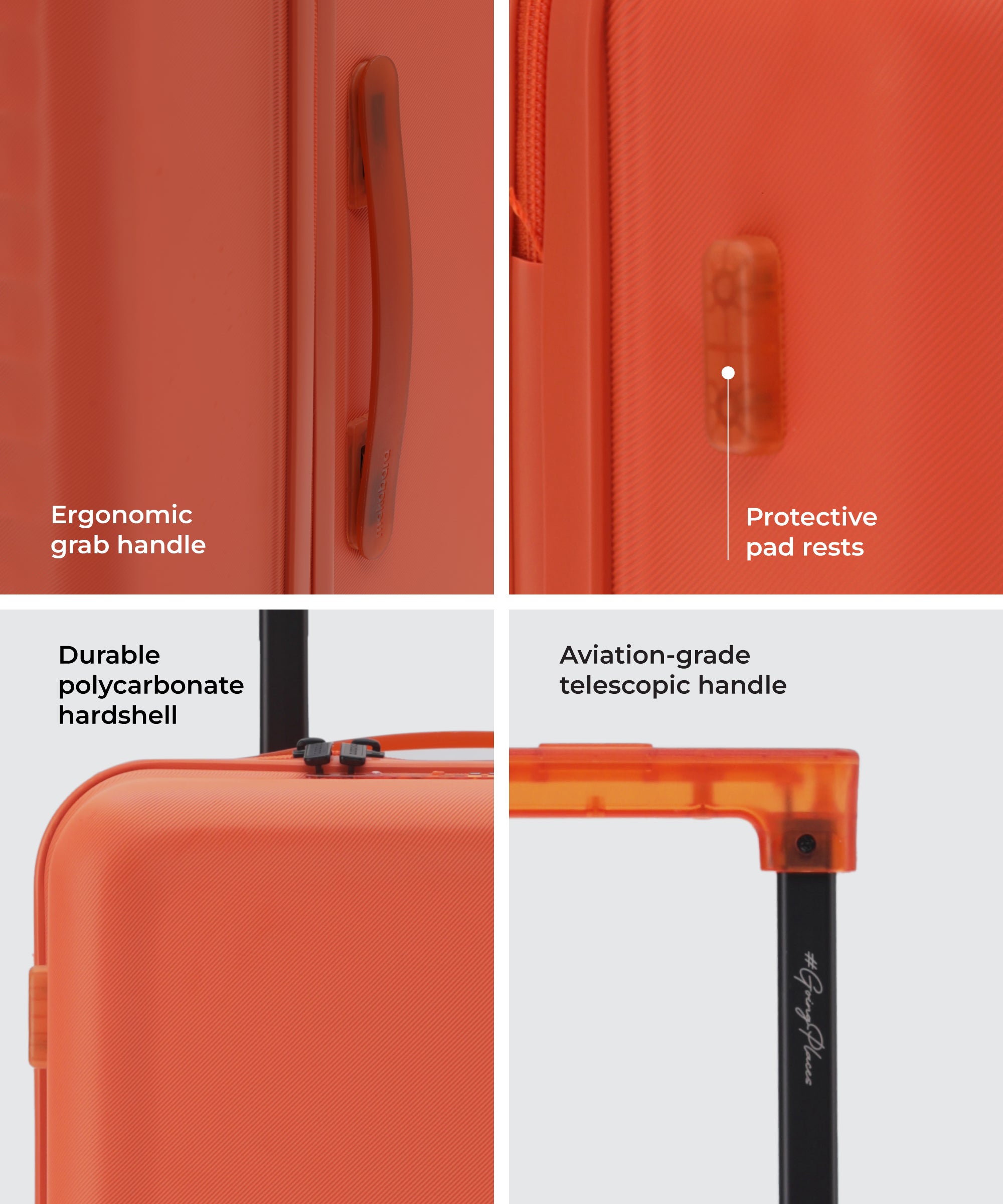 Color_Stardust | The Aisle Trunk - Cabin