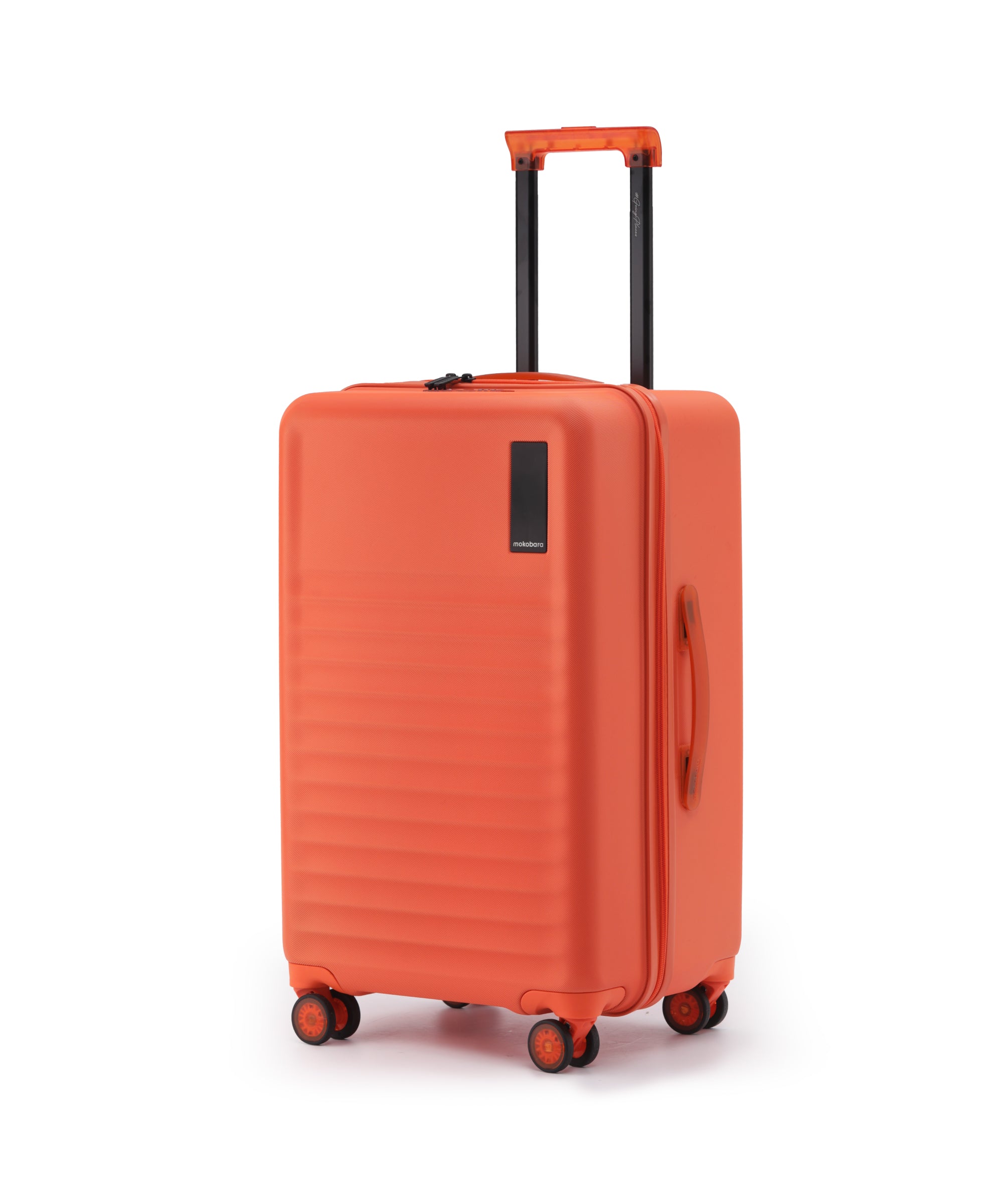 Color_Stardust | The Aisle Trunk - Check-in