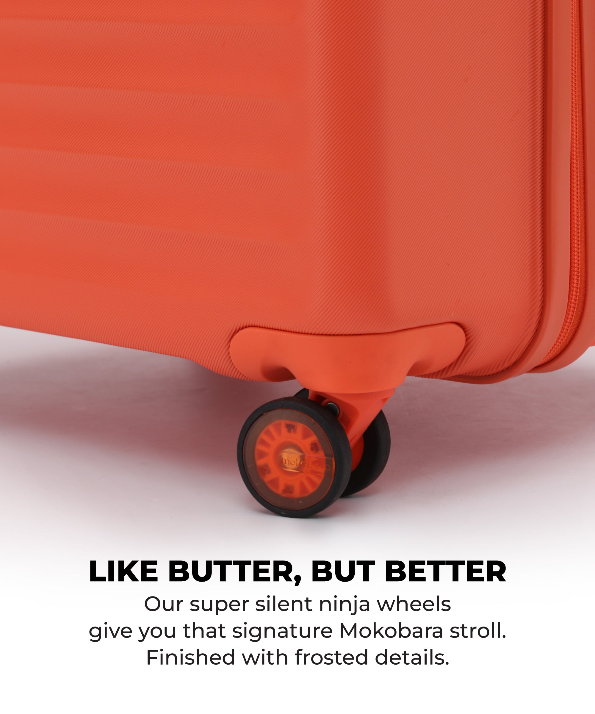 Color_Stardust | The Aisle Trunk - Check-in (Copy)