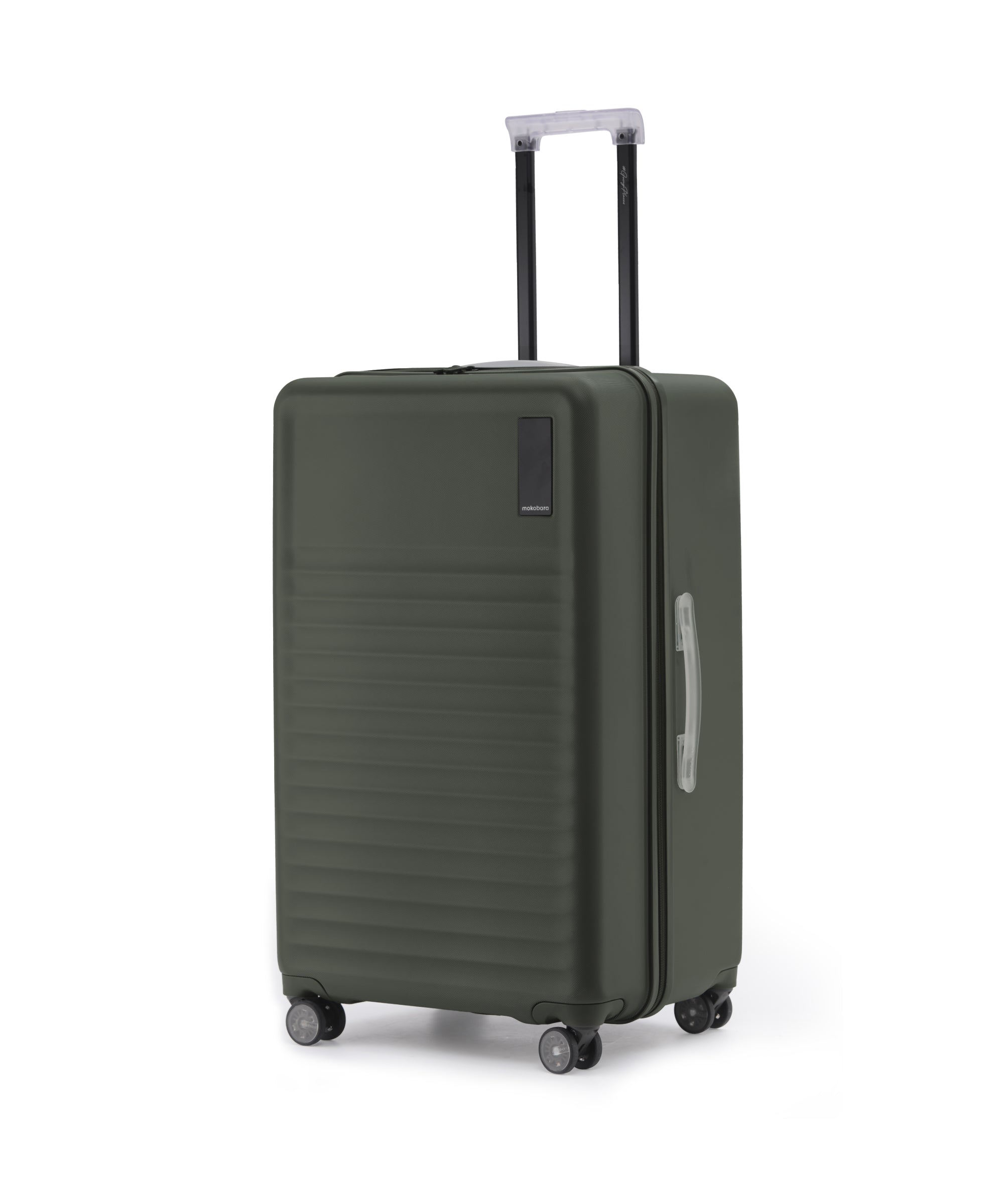 Color_Homegrown | The Aisle Trunk - Large