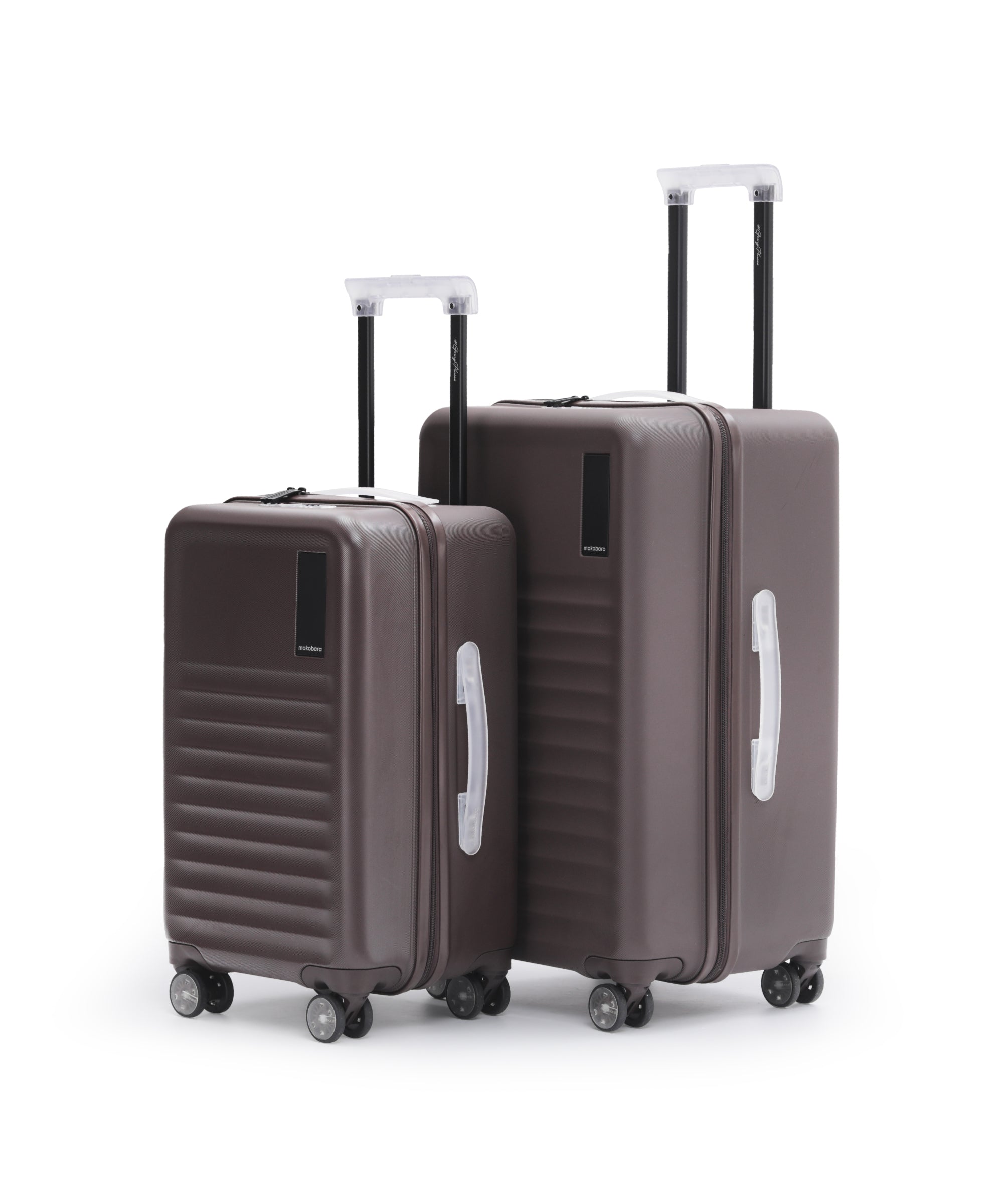 Color_Cool Beans | The Aisle Trunk - Set of 2