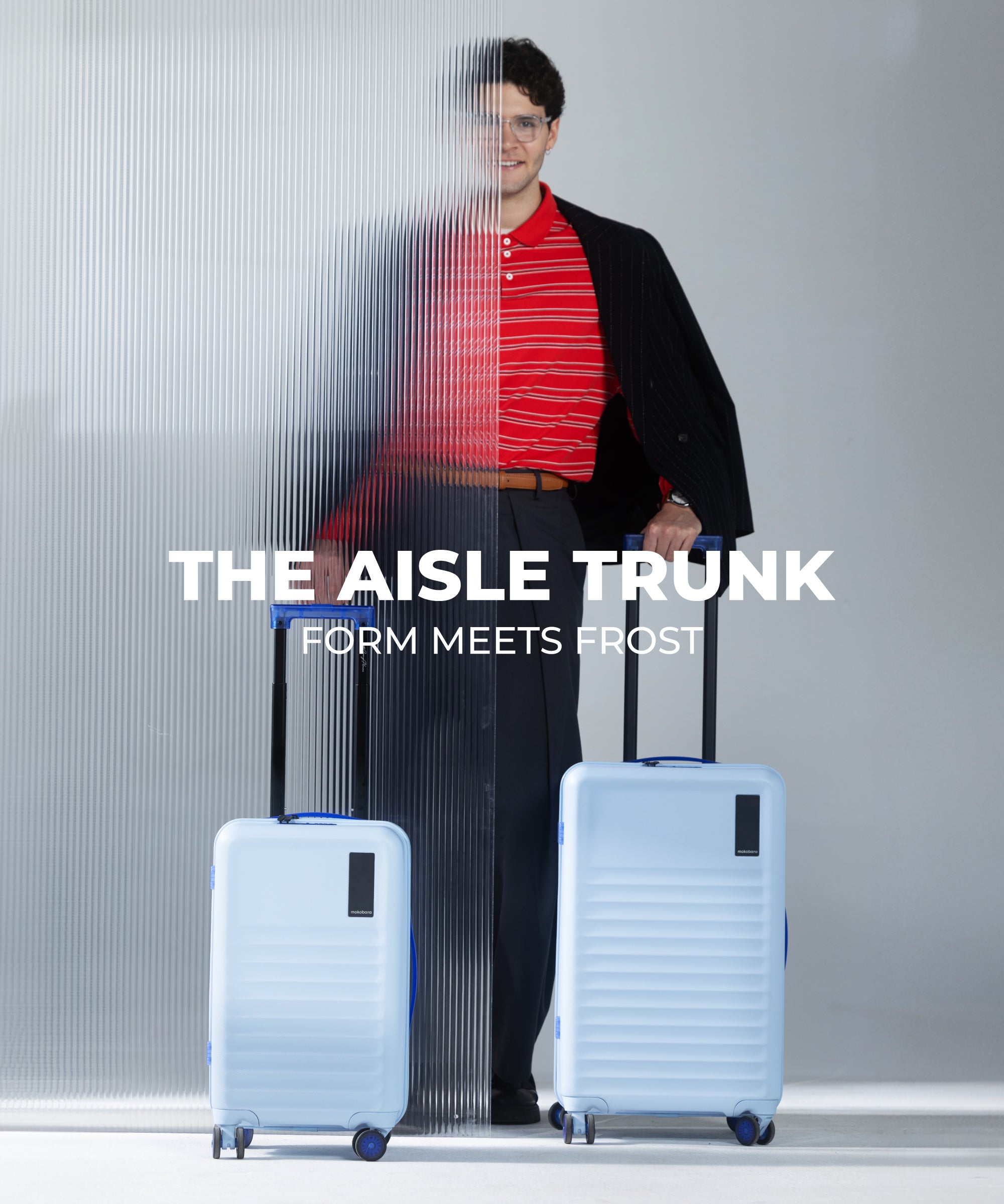 Color_Shy blue | The Aisle Trunk set of 2