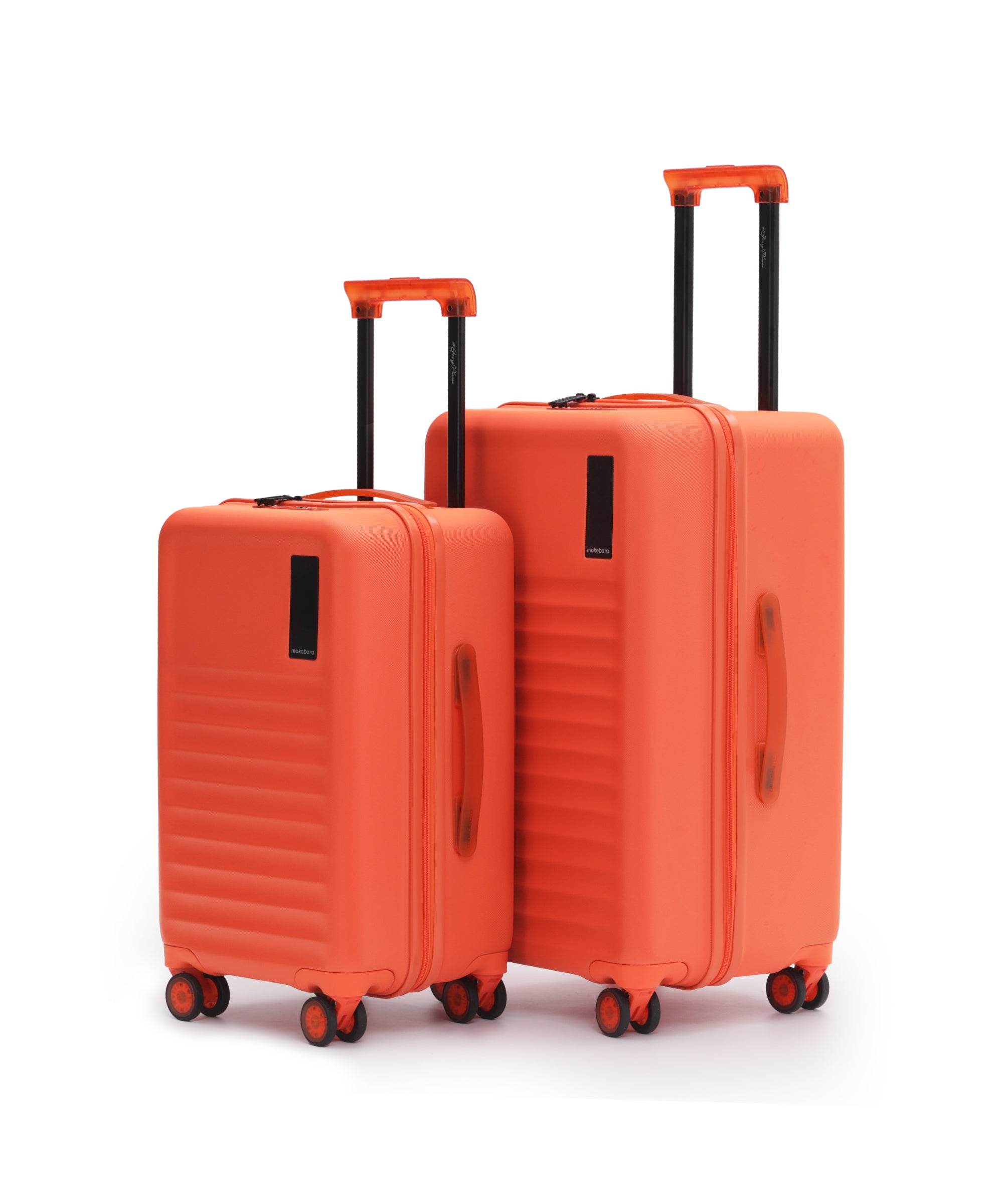 Color_Stardust | The Aisle Trunk - Set of 2