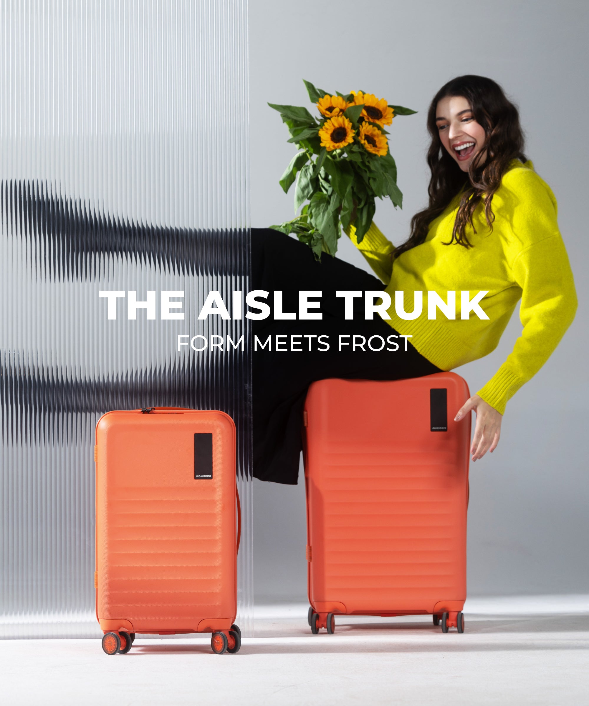 Color_Stardust | The Aisle Trunk - Set of 2
