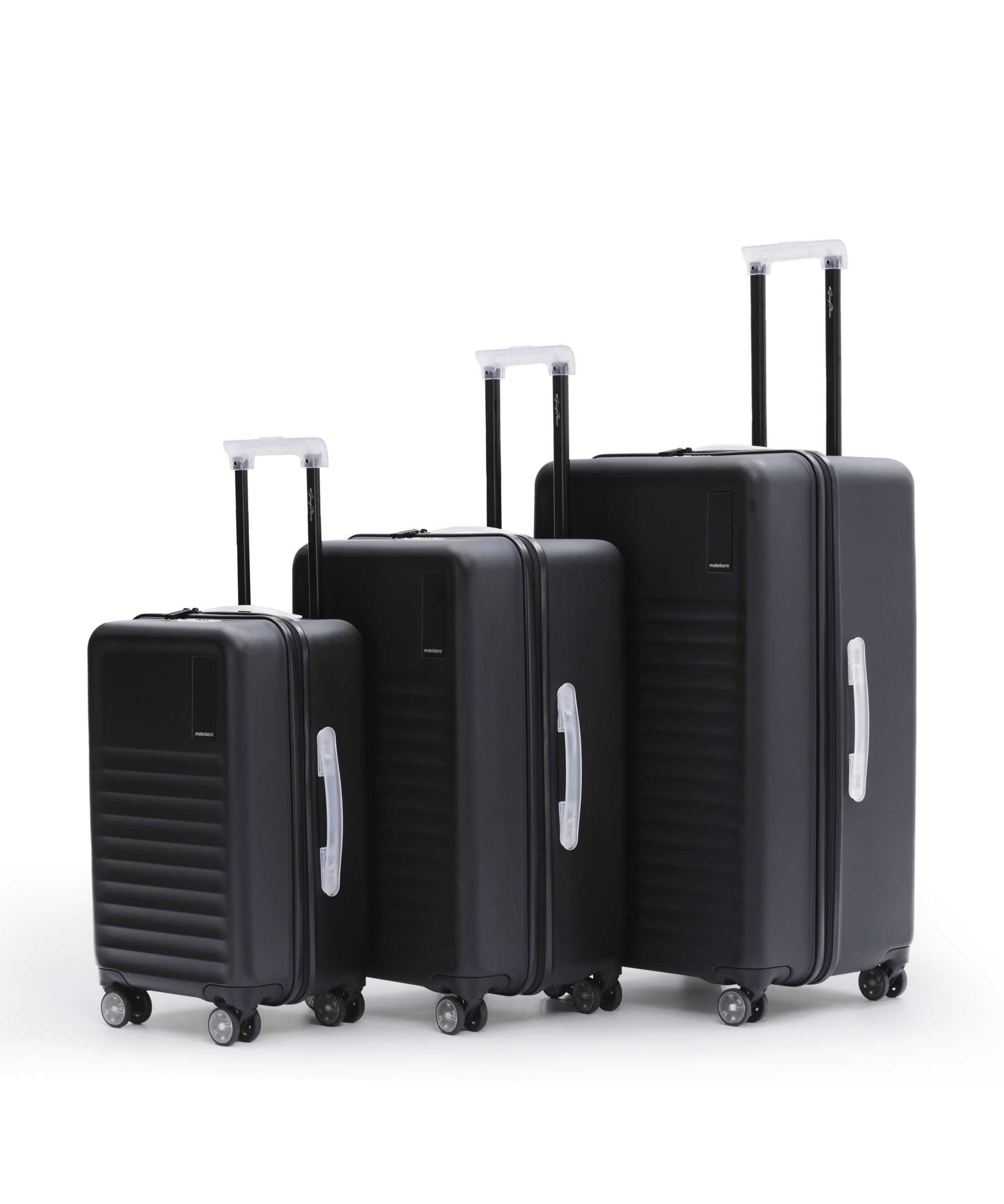 Color_Money Moves | The Aisle Trunk - Set of 3