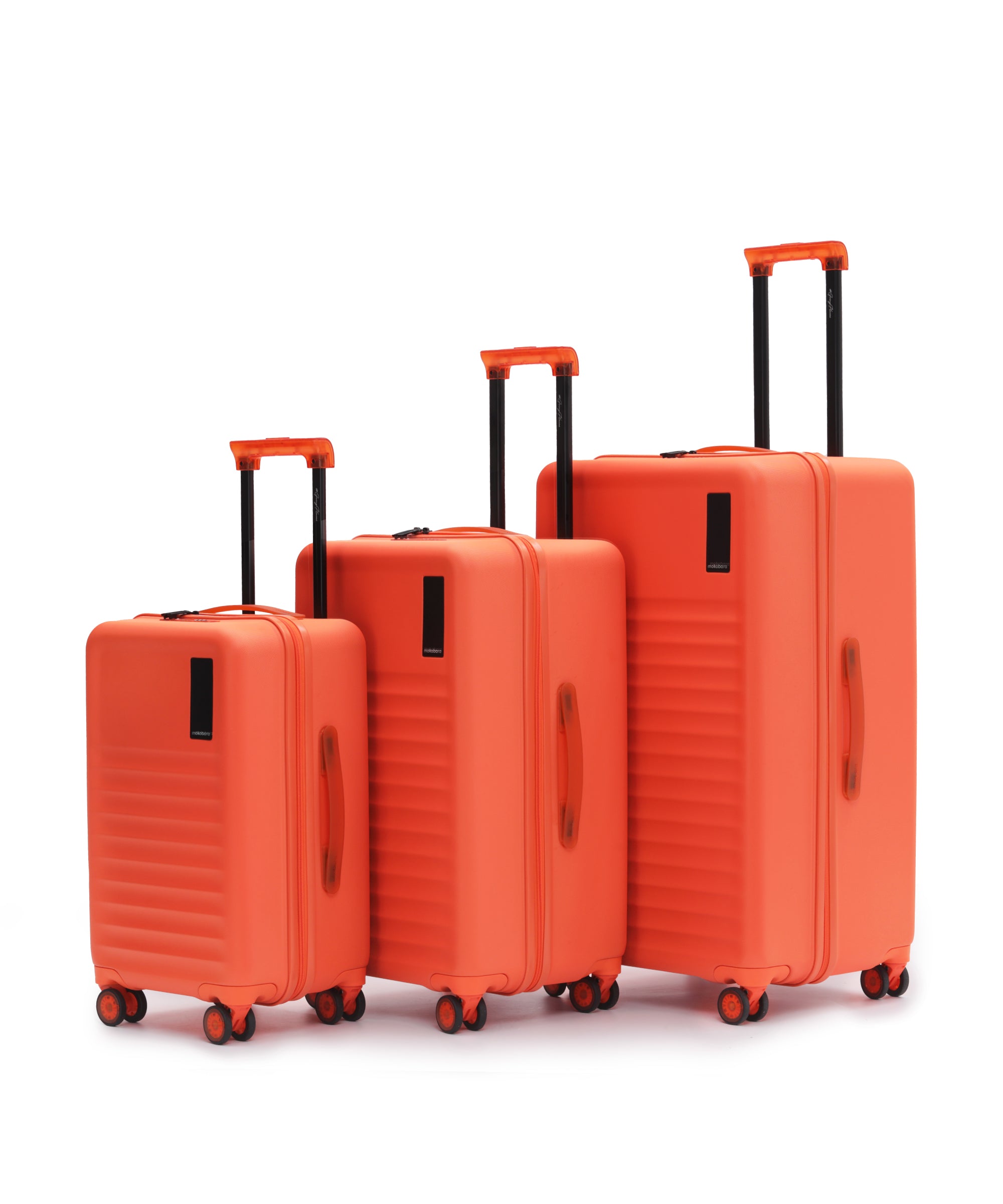 Color_Stardust | The Aisle Trunk - Set of 3