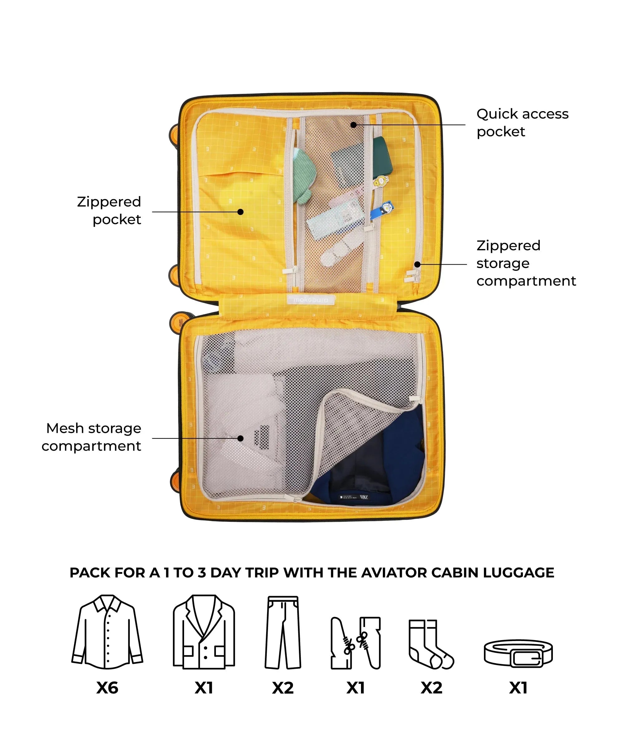 Color_ {{ variants_option }} | The Aviator Cabin Luggage