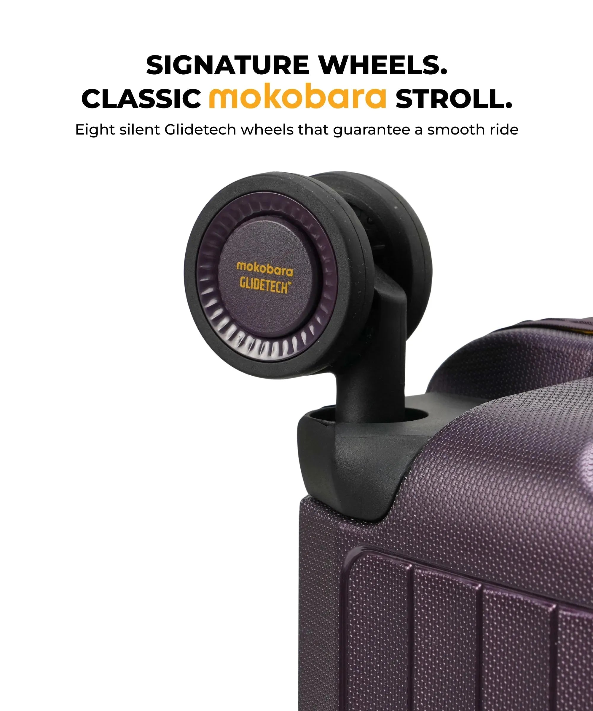 Color_ {{ variants_option }} | The Aviator Cabin Luggage