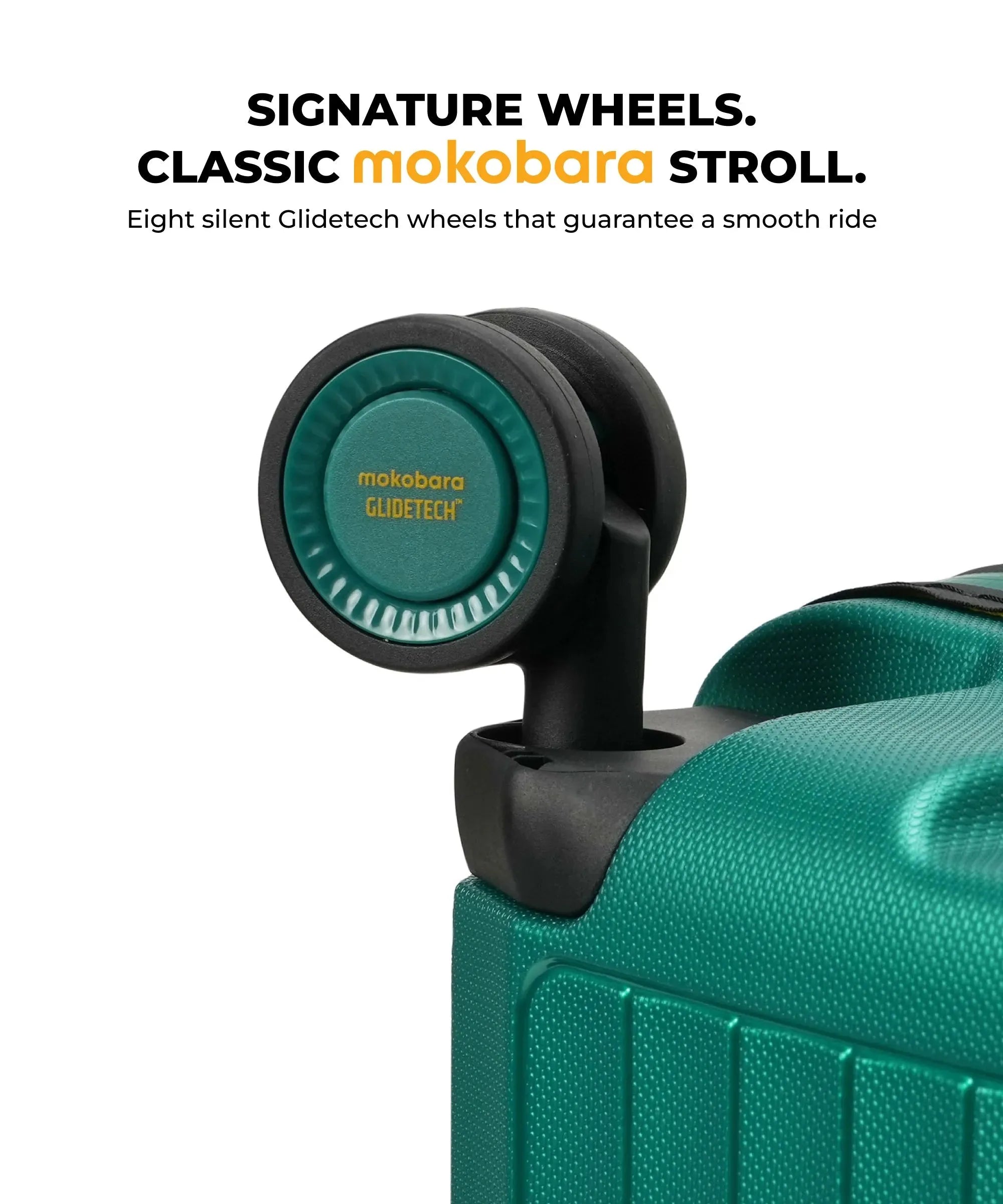 Color_ {{ variants_option }} | The Aviator Cabin Luggage