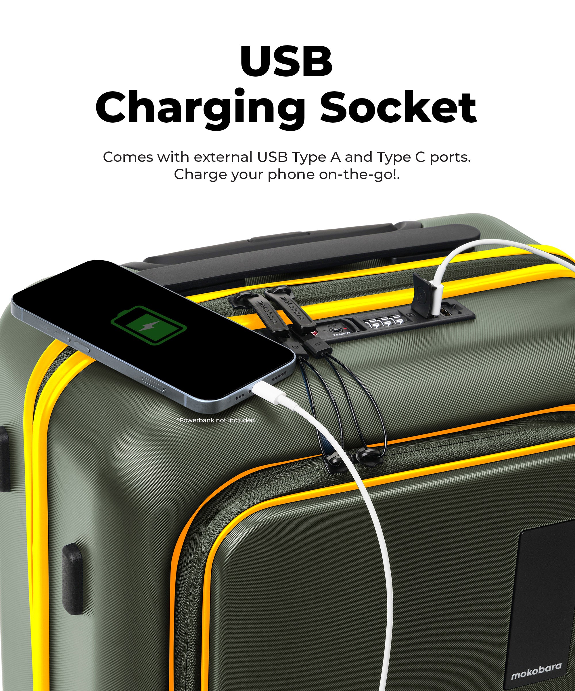 Color_Forest Sunray (Limited Edition) | The Cabin Pro