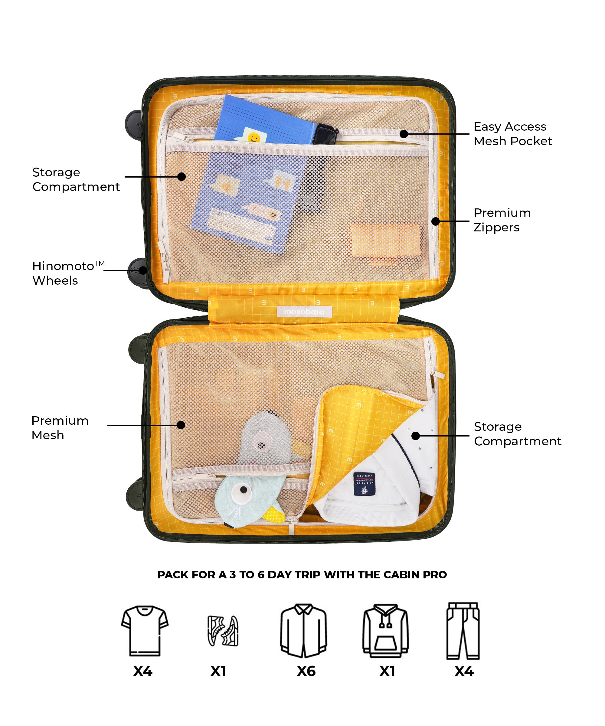 Color_Forest Sunray (Limited Edition) | The Cabin Pro