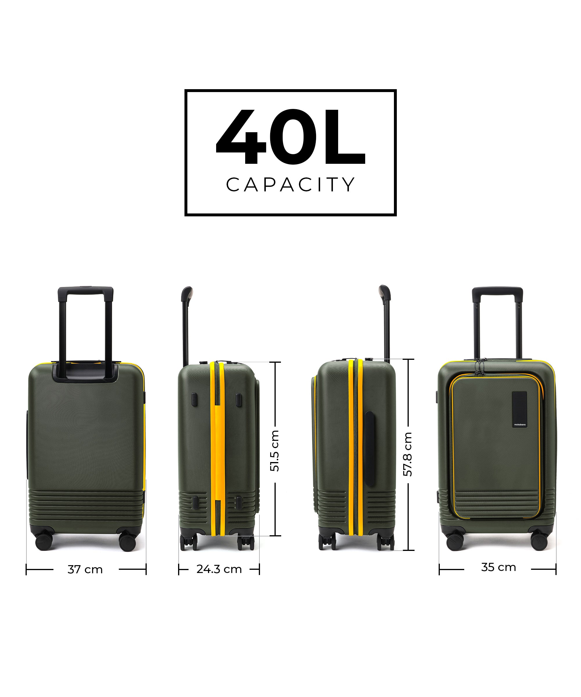 Color_Forest Sunray (Limited Edition) | The Cabin Pro