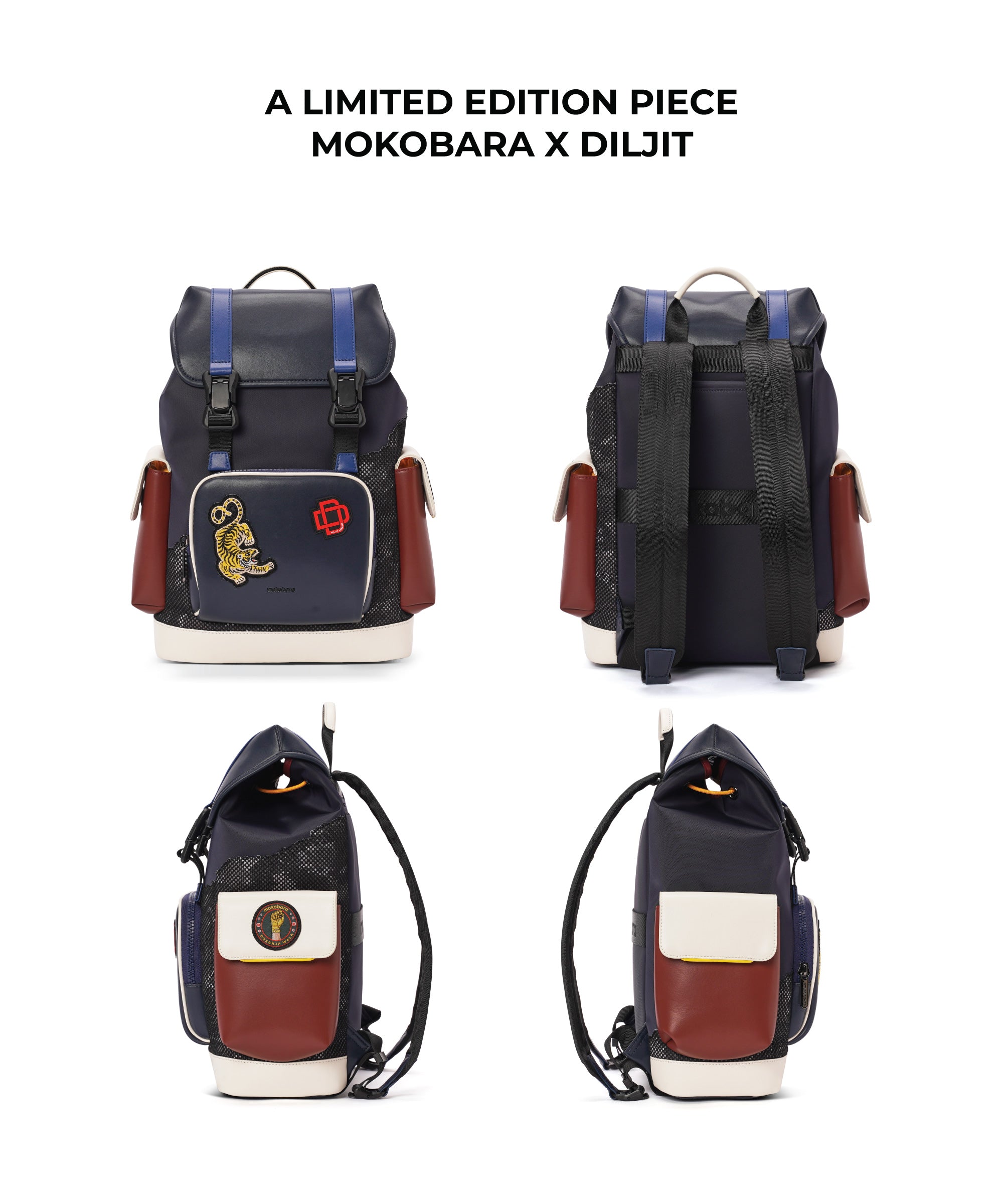 Color_Divine Intervention | The Leap Year Backpack - Diljit Edit