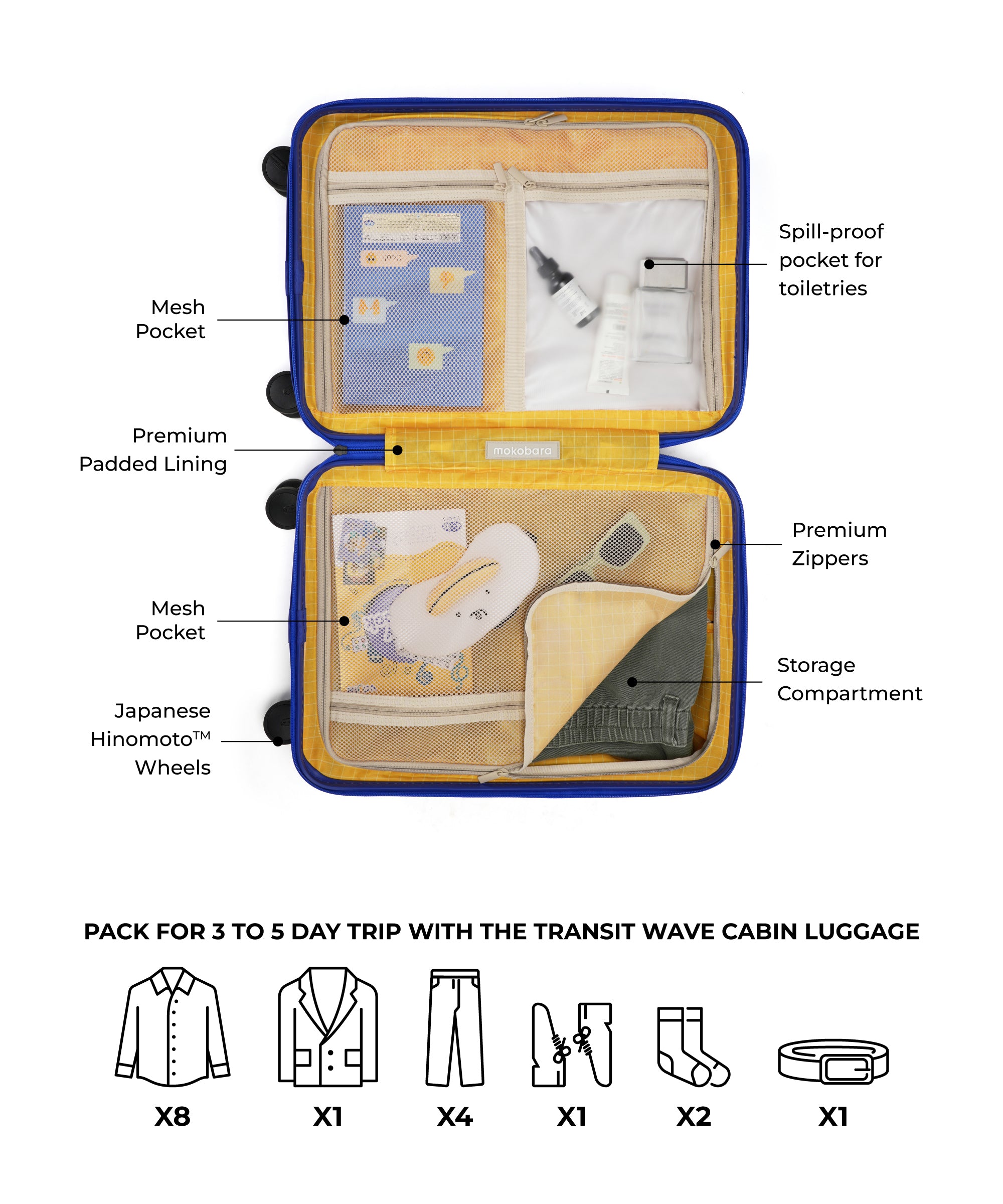 The Transit Wave - Cabin