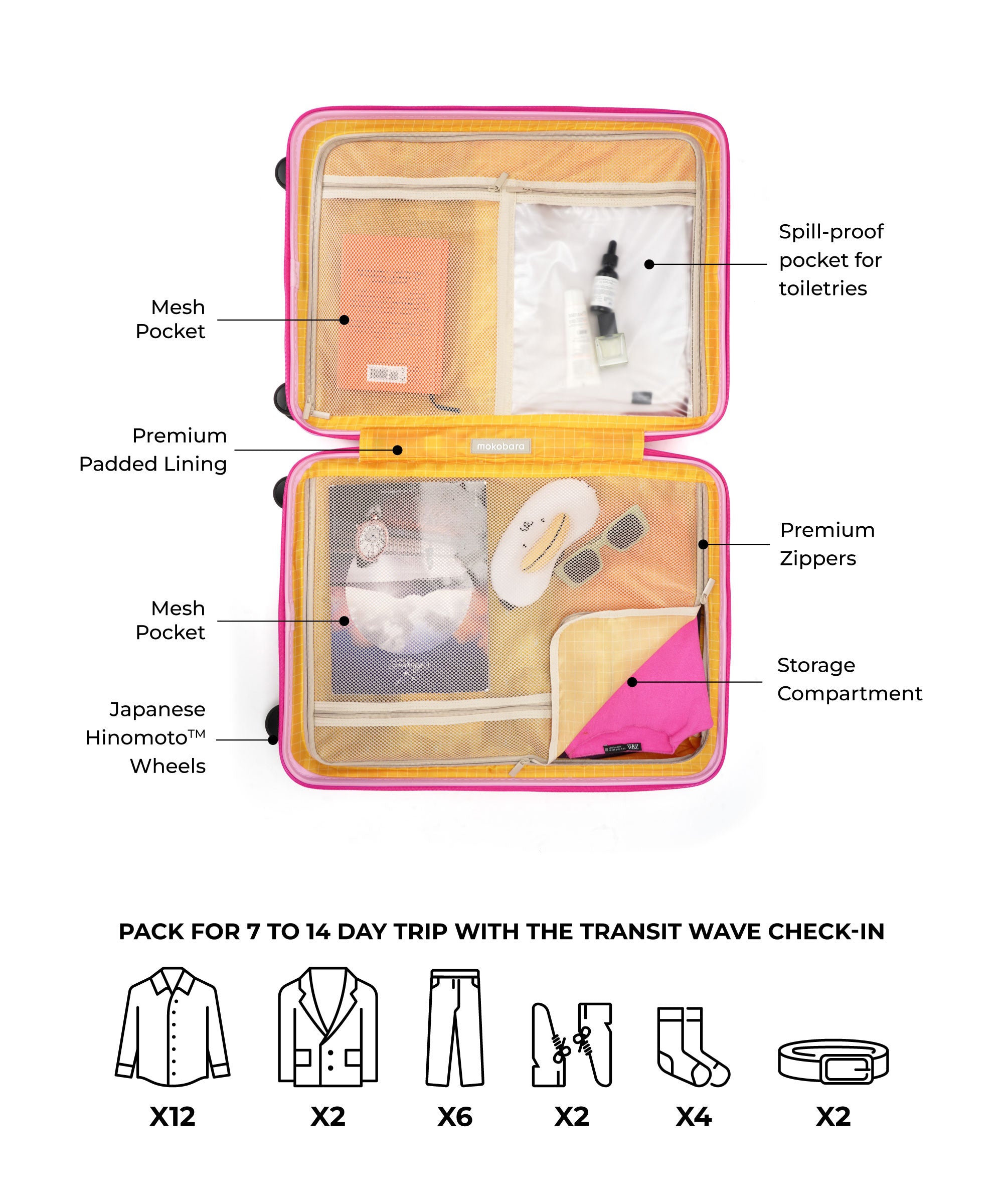 Color_Excuse Me | The Transit Wave - Check-in