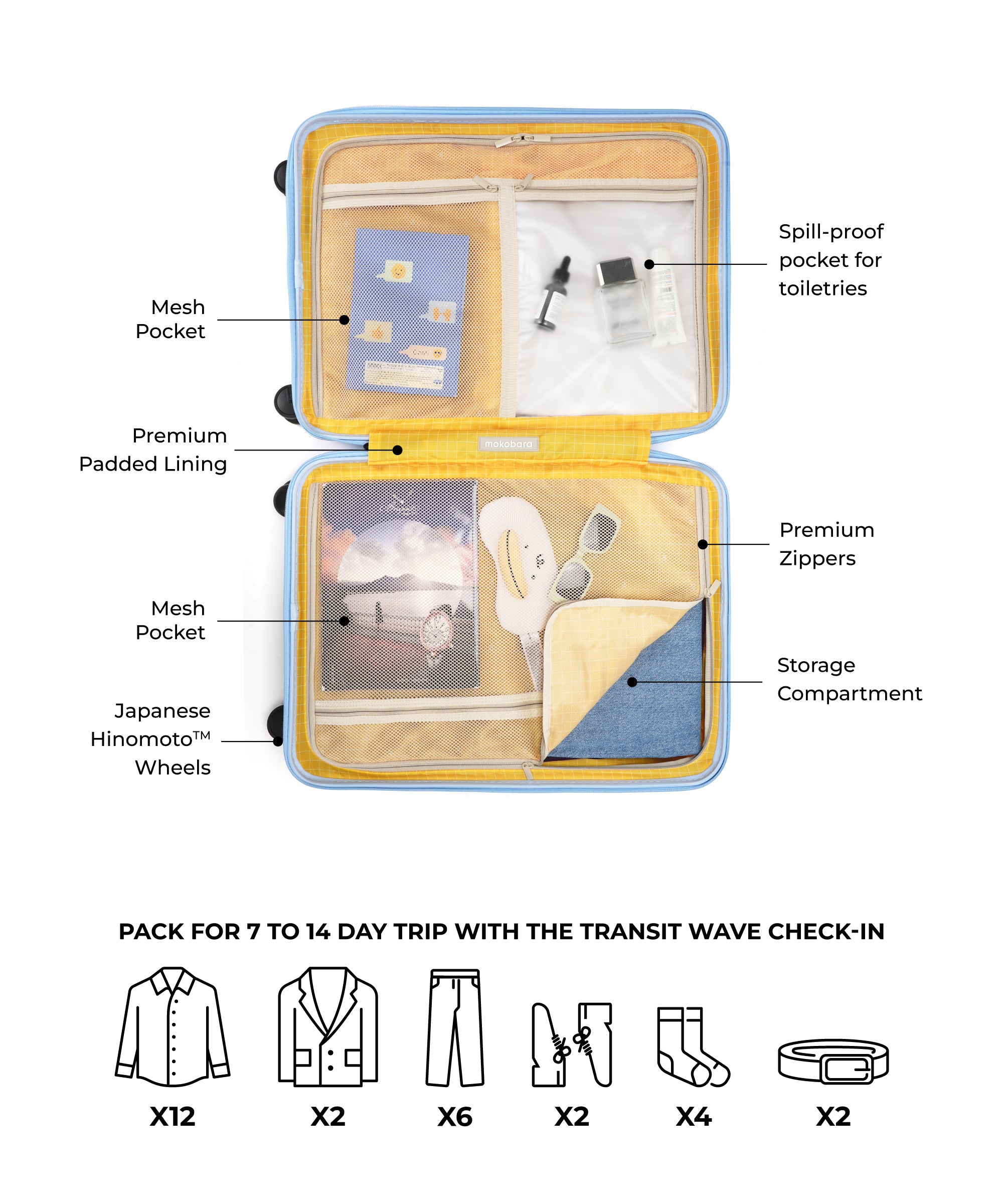 Color_Shy Blue | The Transit Wave - Check-in