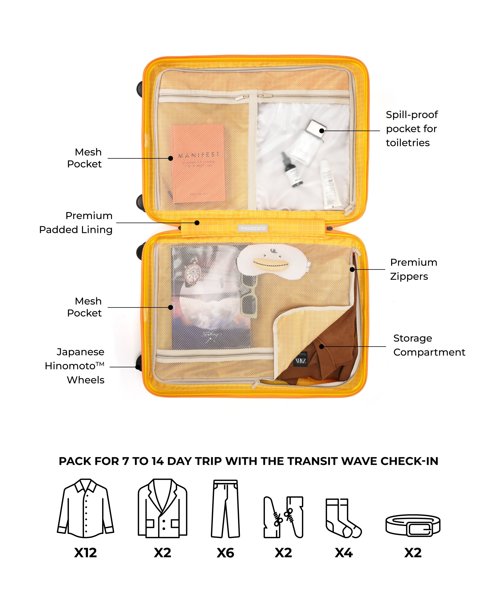 Color_Summer | The Transit Wave - Check-in