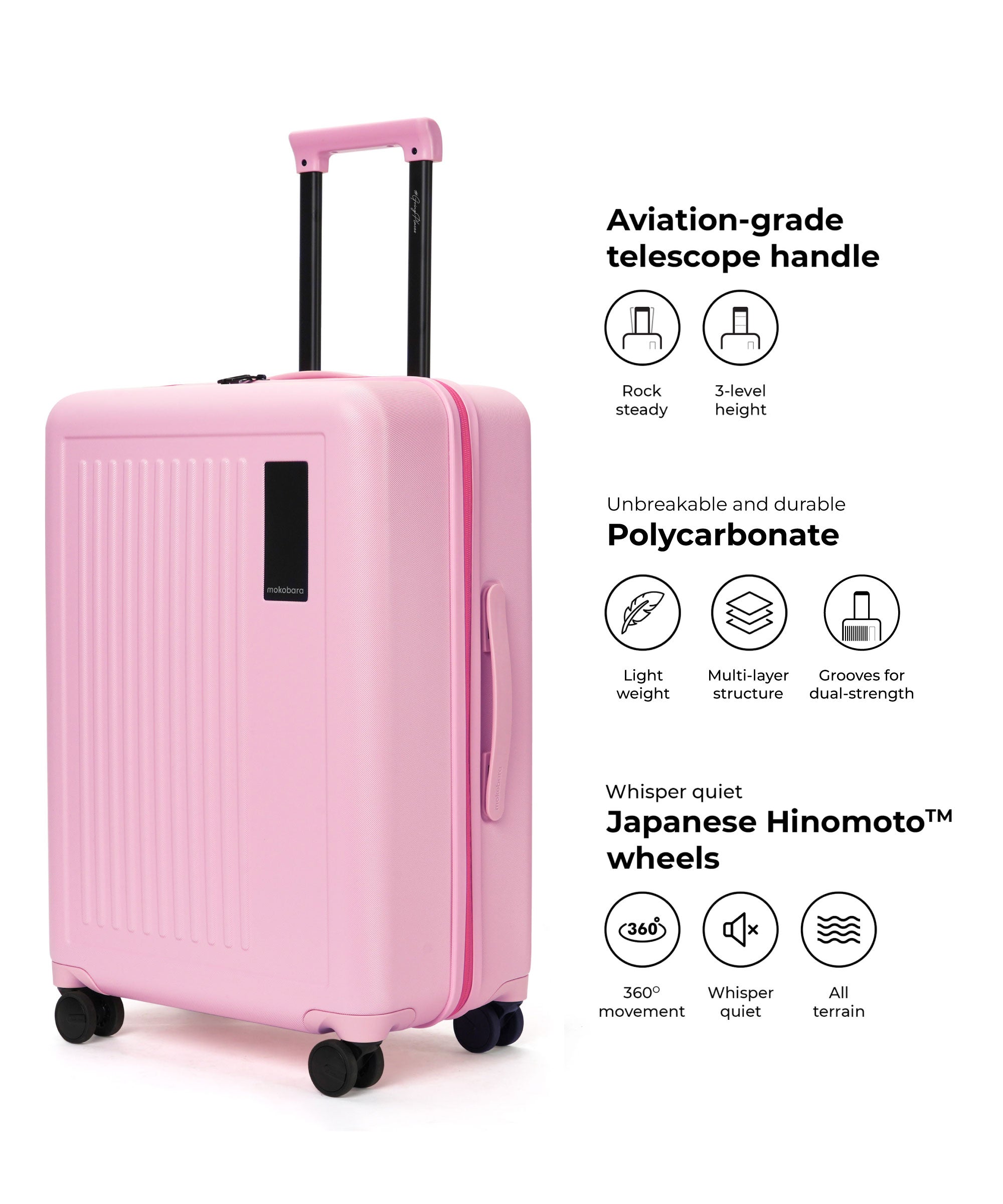 Color_Excuse Me | The Transit Wave - Set of 2