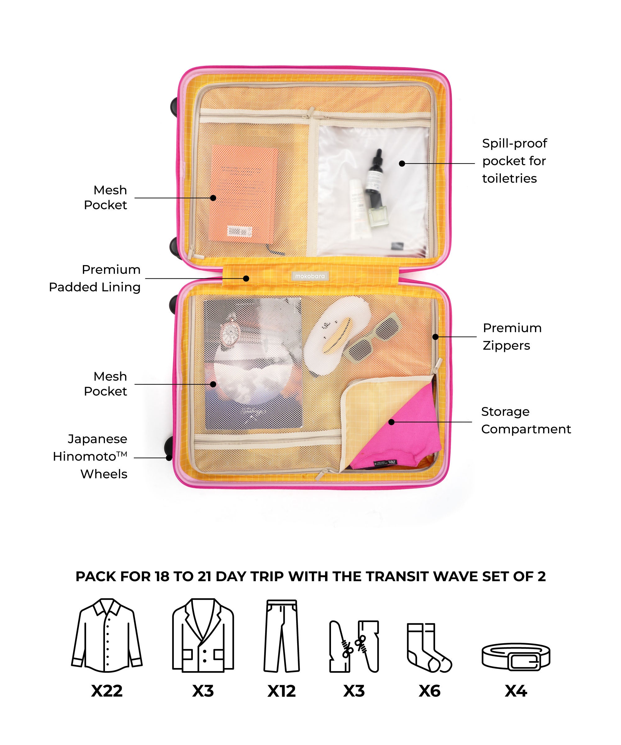 Color_Excuse Me | The Transit Wave - Set of 2