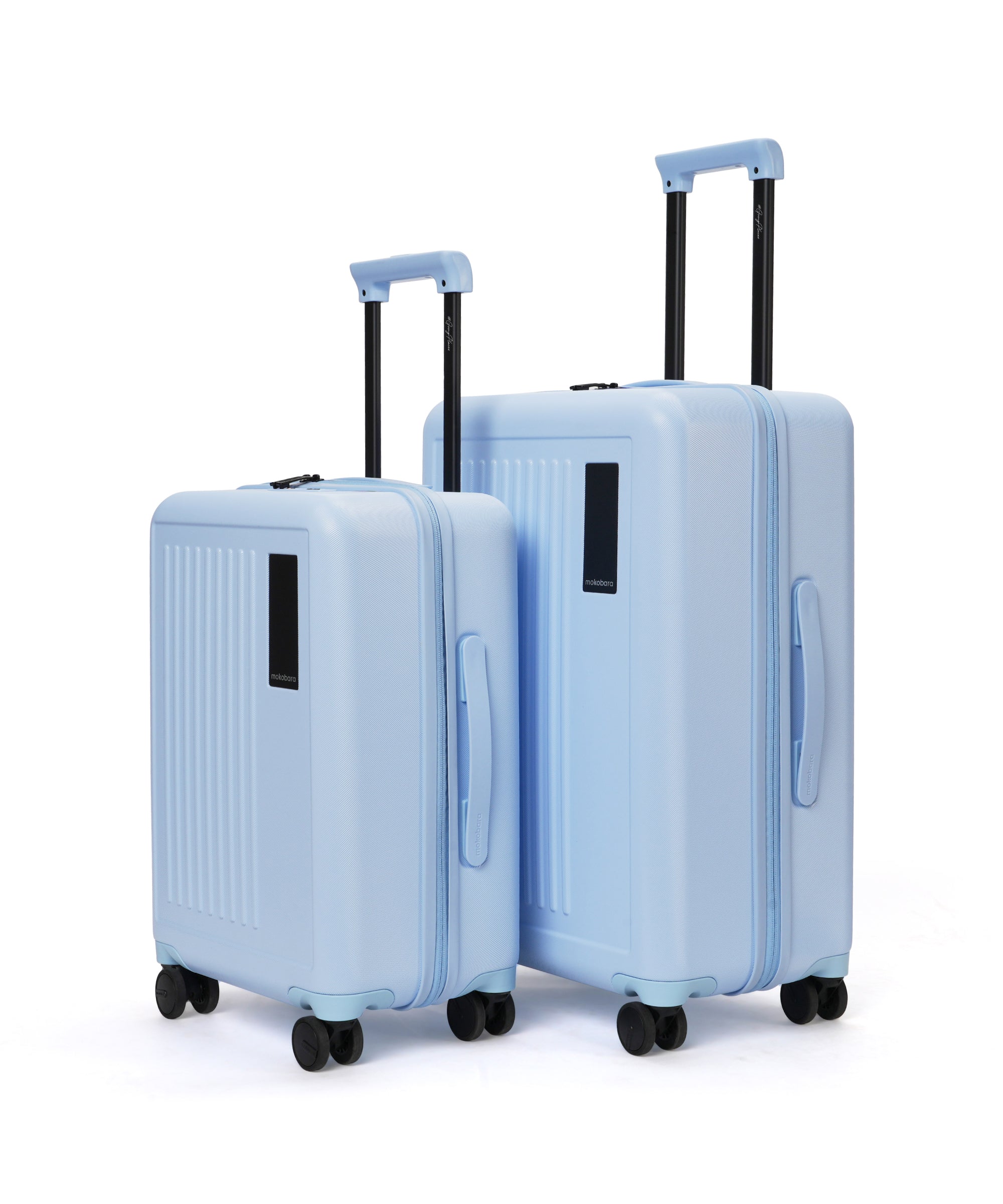 Color_Shy Blue | The Transit Wave - Set of 2