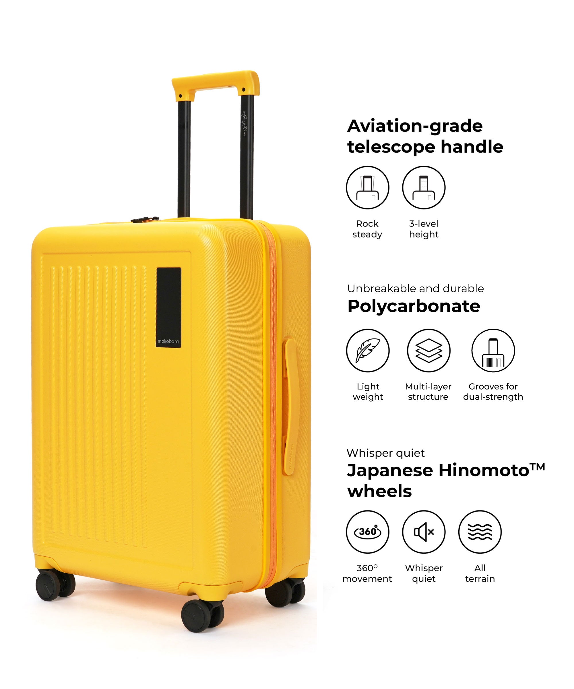 Color_Summer | The Transit Wave - Set of 2