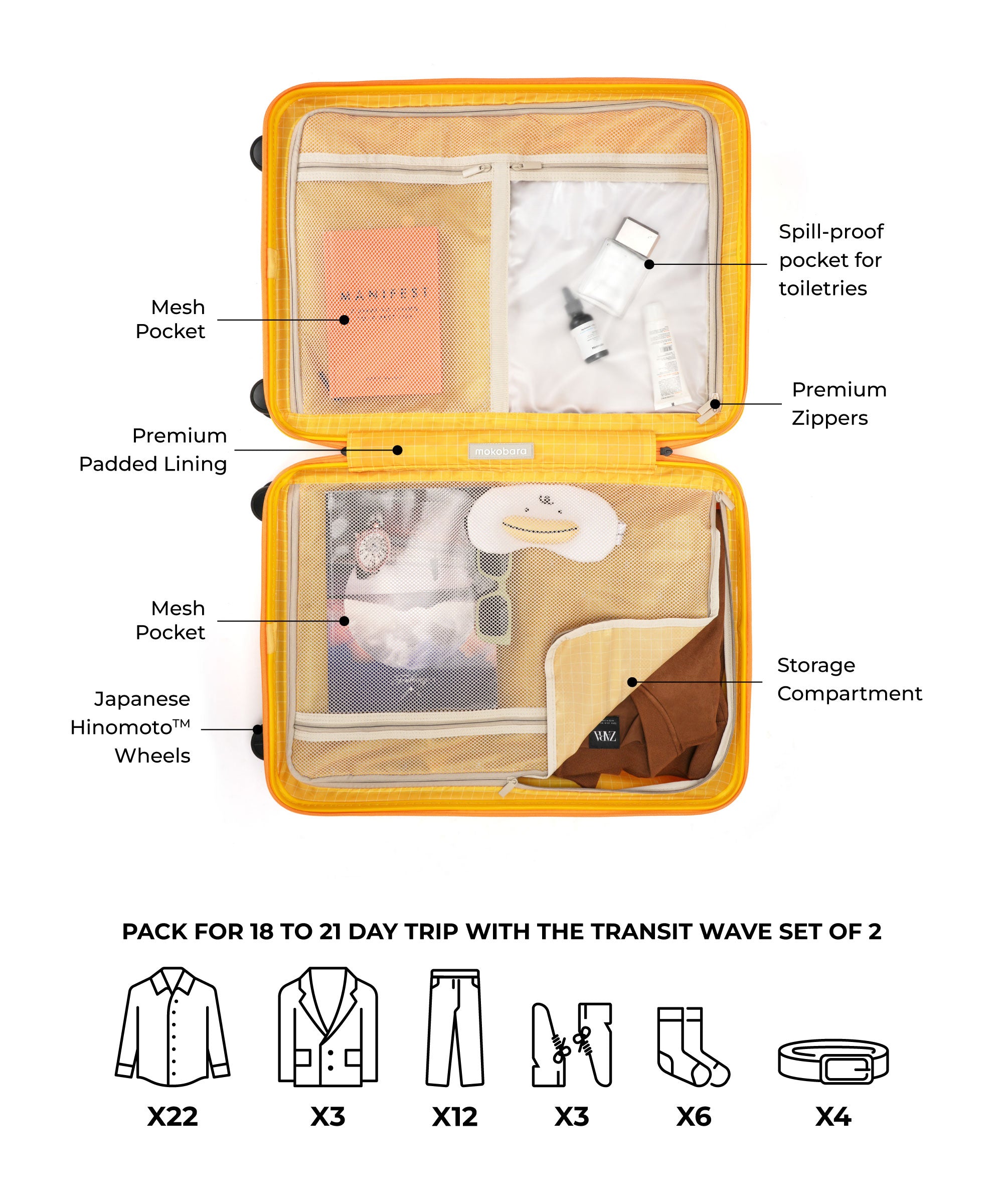 Color_Summer | The Transit Wave - Set of 2