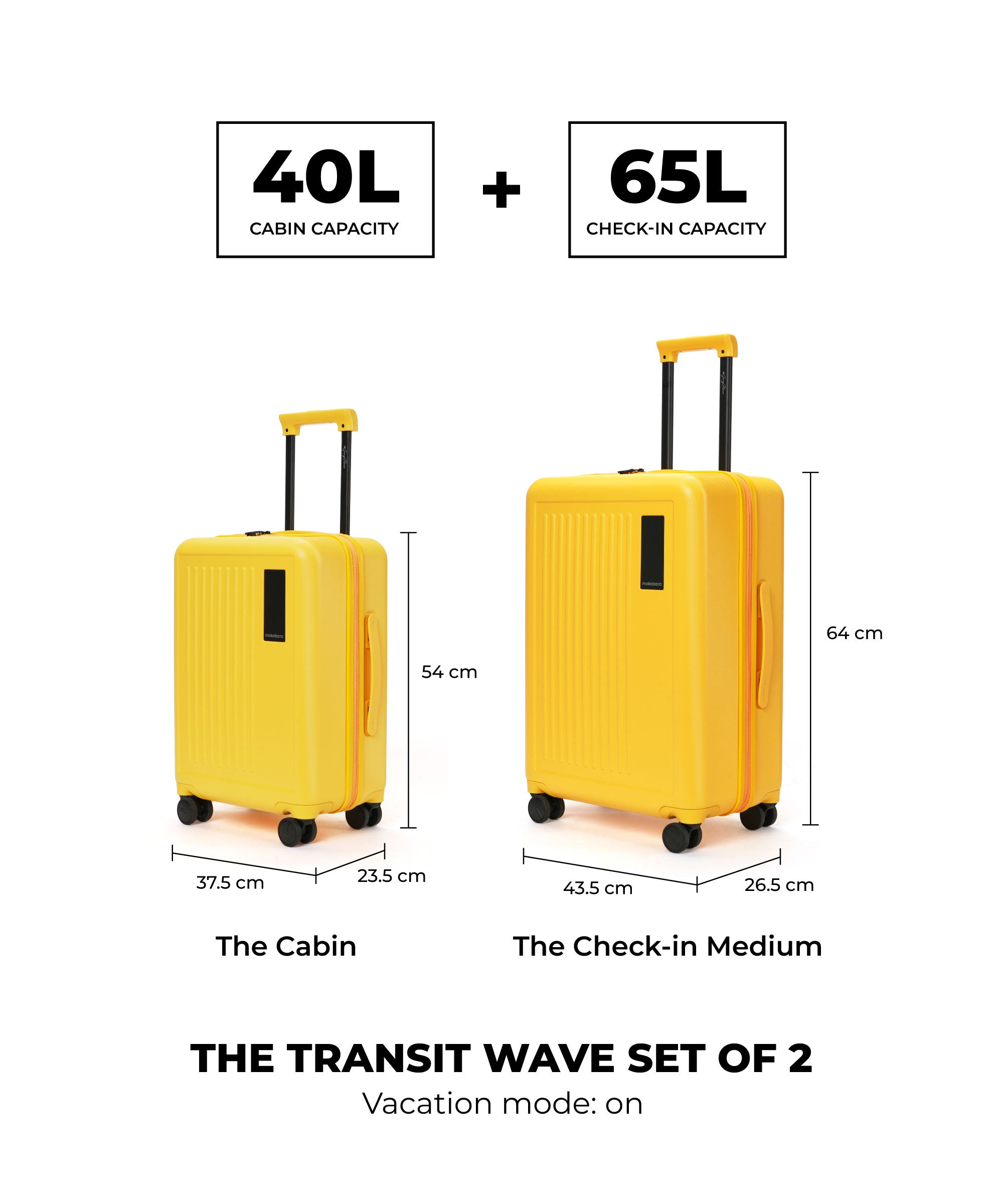 Color_Summer | The Transit Wave - Set of 2