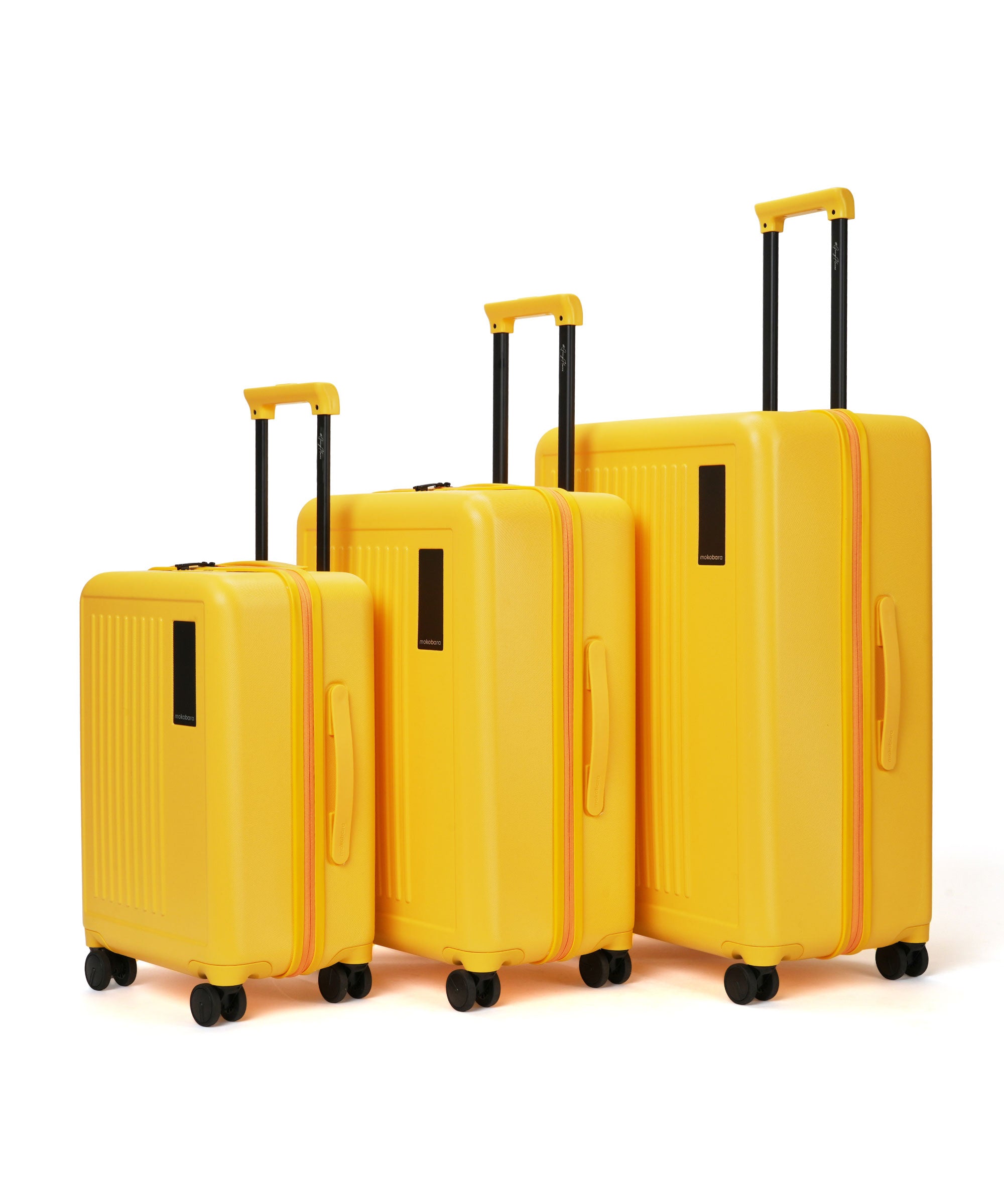 Color_Summer | The Transit Wave - Set of 3