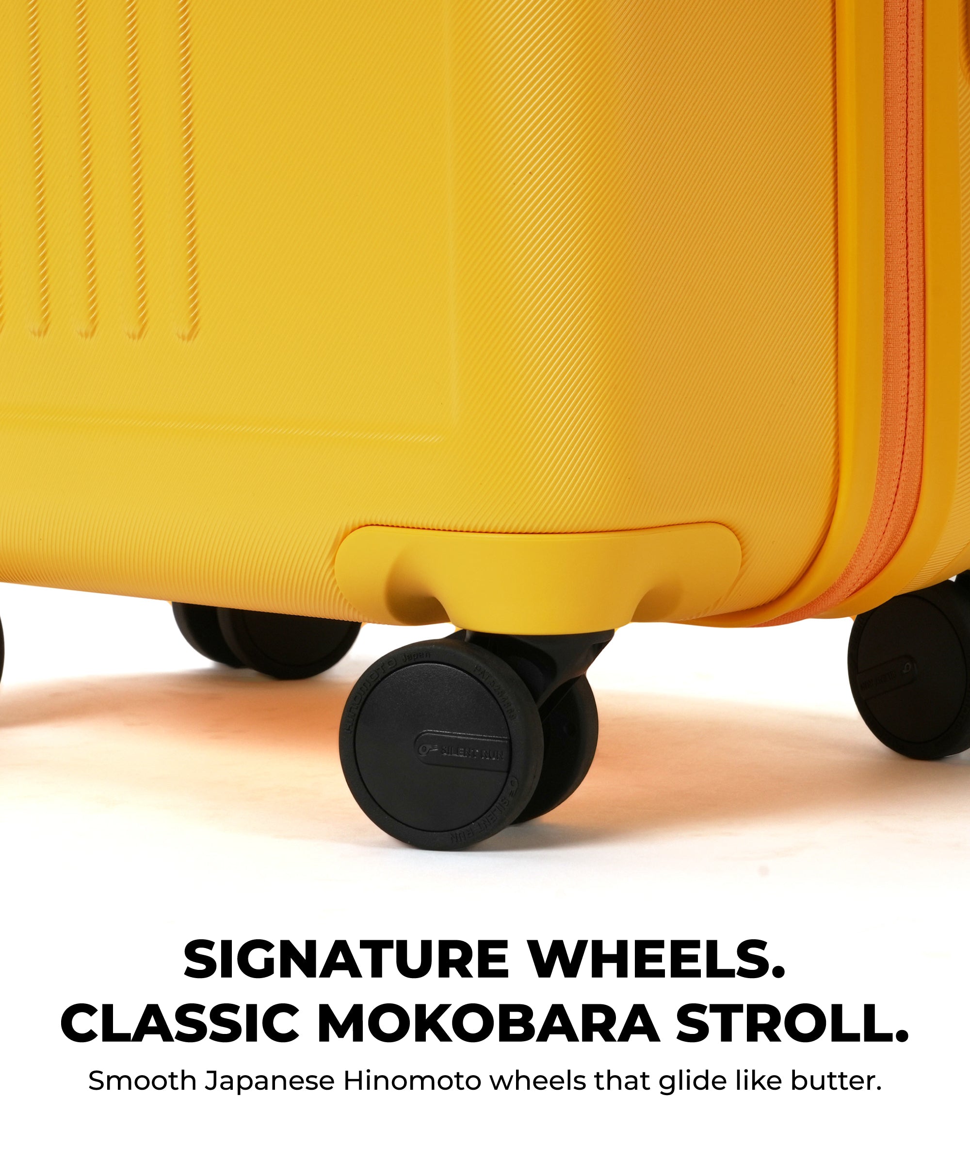 Color_Summer | The Transit Wave - Set of 3