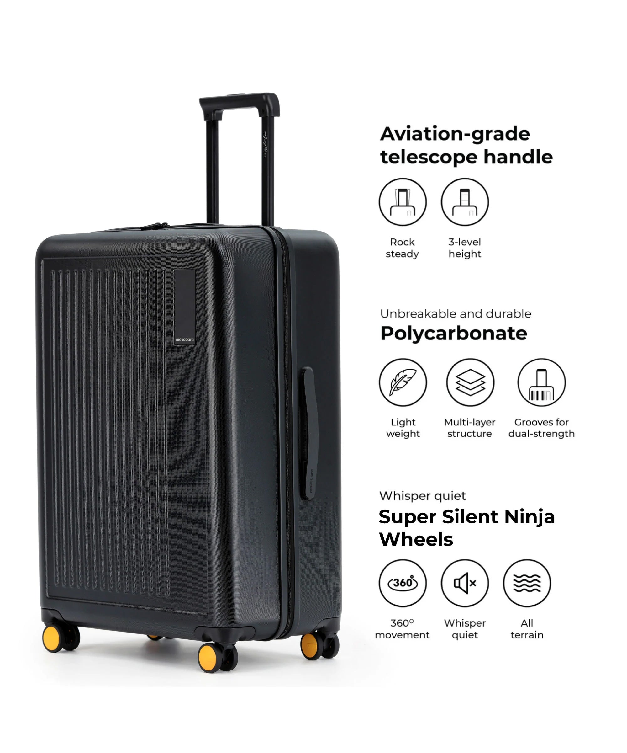 Color_Money Moves 2.0 | The Transit Luggage_Set of 2(Check-in + Check-in Large)