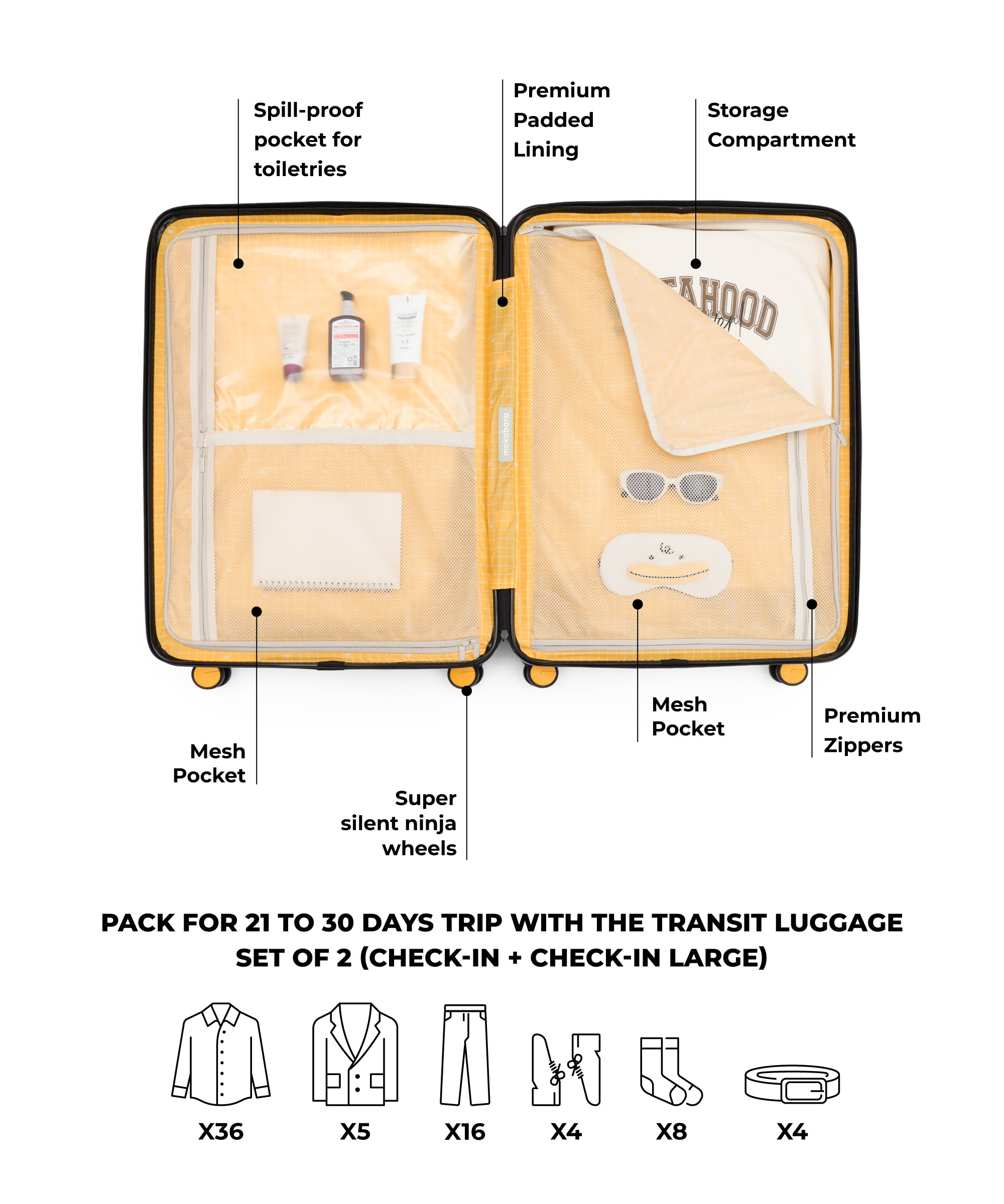 Color_We meet Again Sunray 2.0 | The Transit Luggage_Set of 2(Check-in + Check-in Large)
