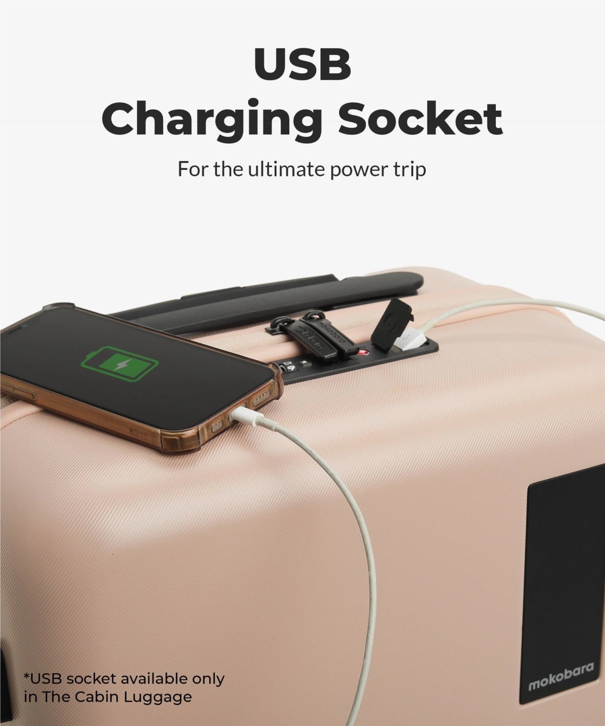 Color_No Filter | Set of 3 Luggage