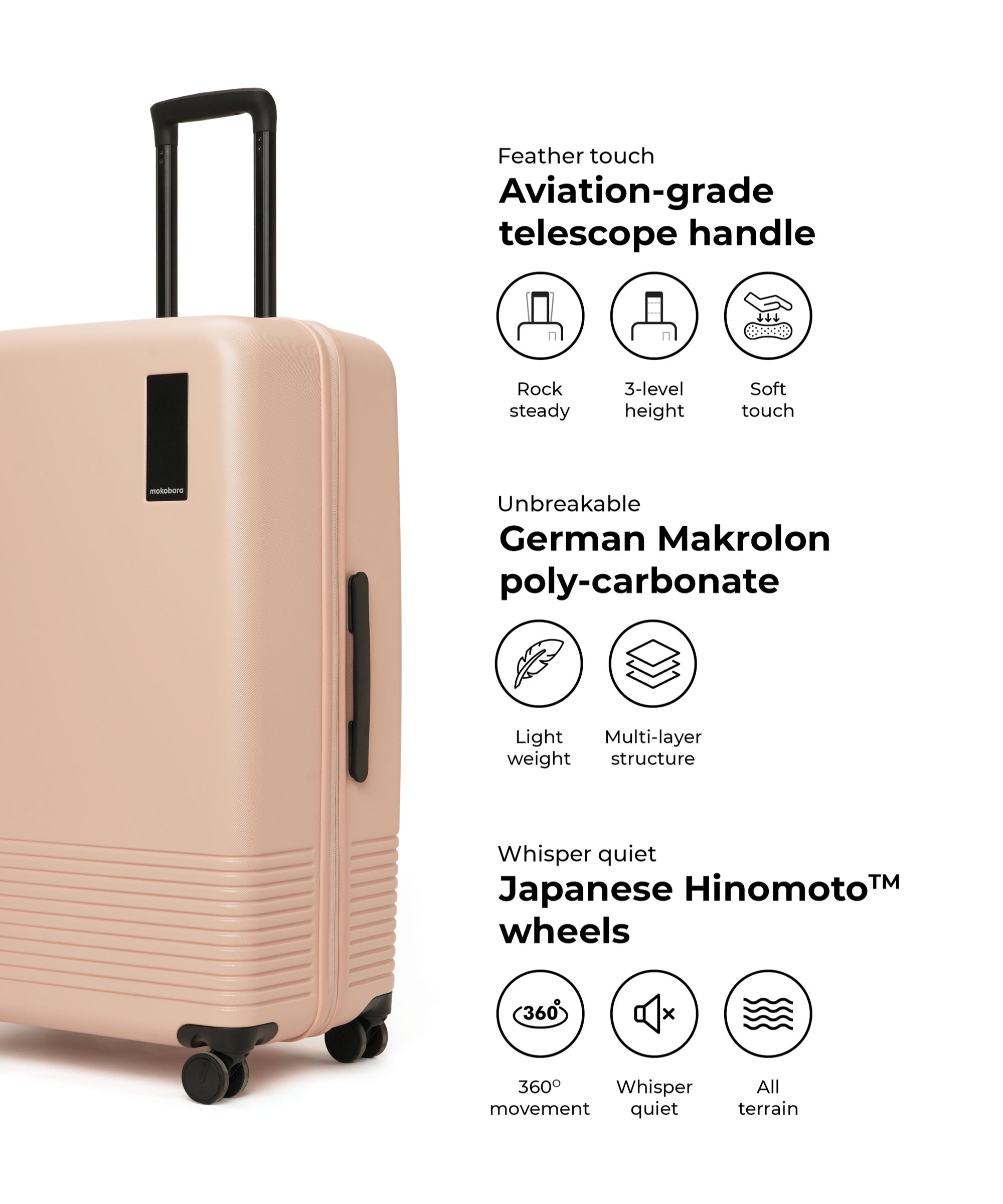 Color_No Filter | Set of 3 Luggage