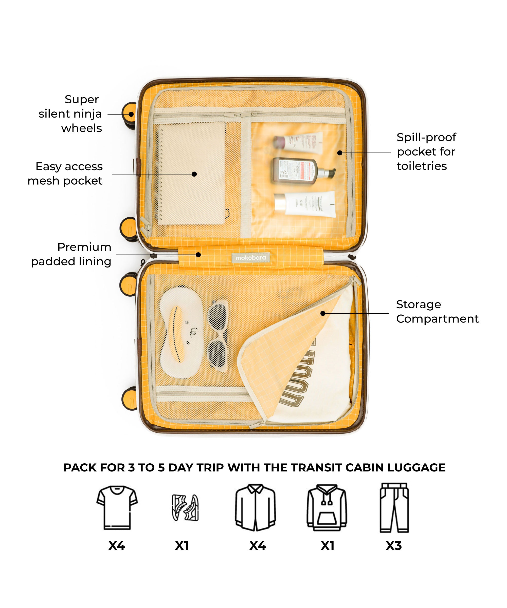 Color_Still Loading Brownray | The Transit Luggage - Cabin