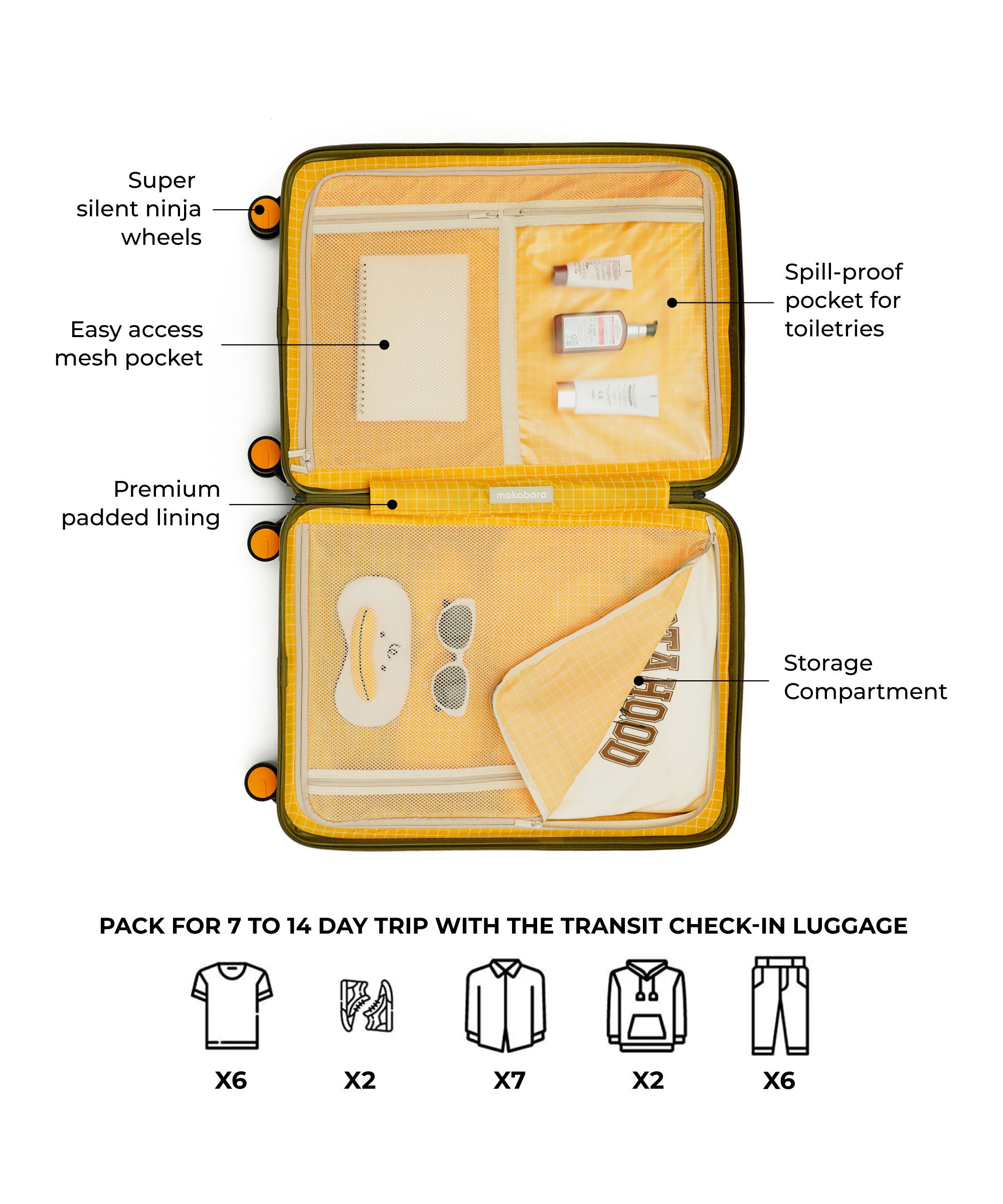 Color_Money Moves | The Transit Luggage - Check-in