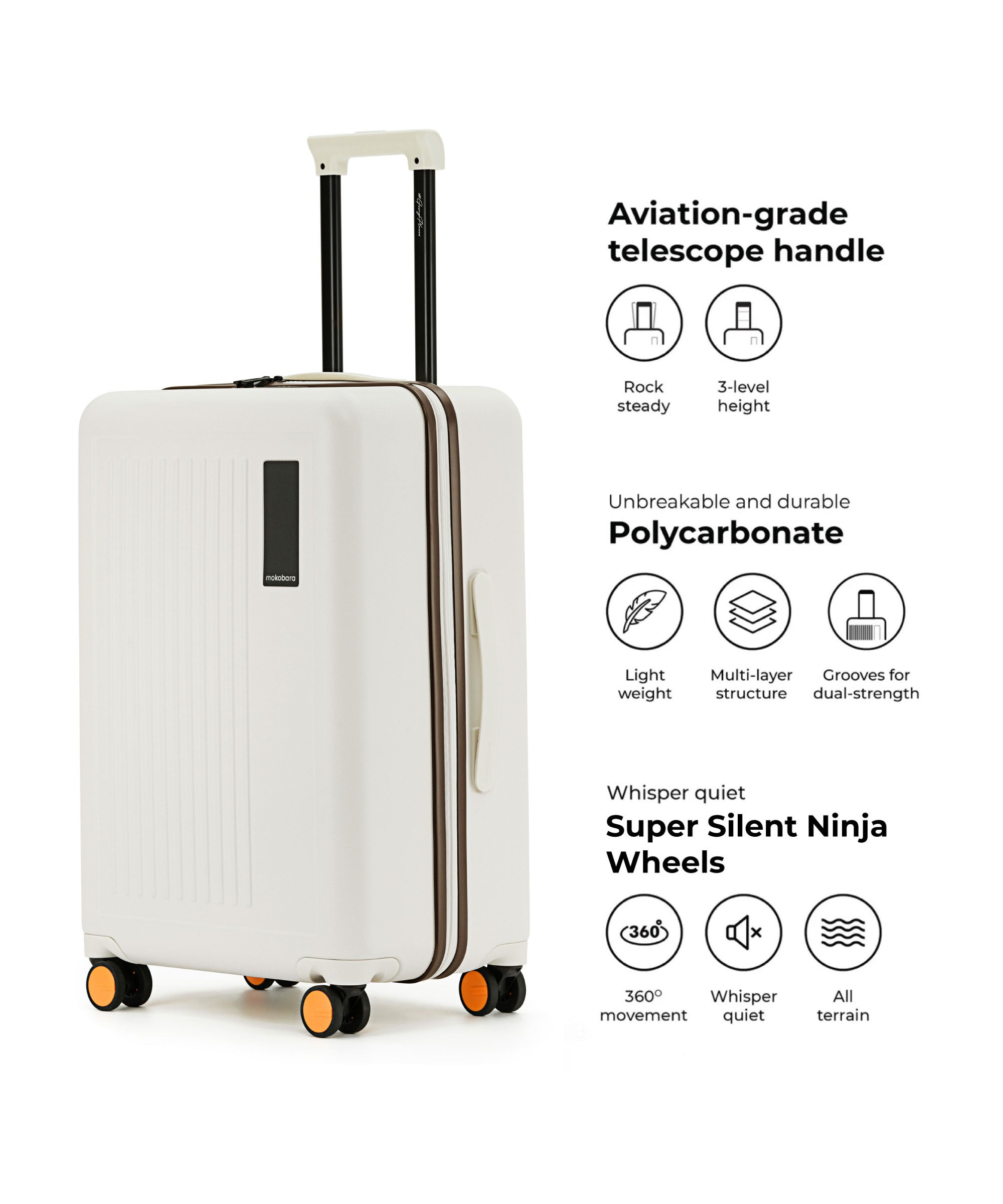 Color_Still Loading Brownray | The Transit Luggage - Check-in