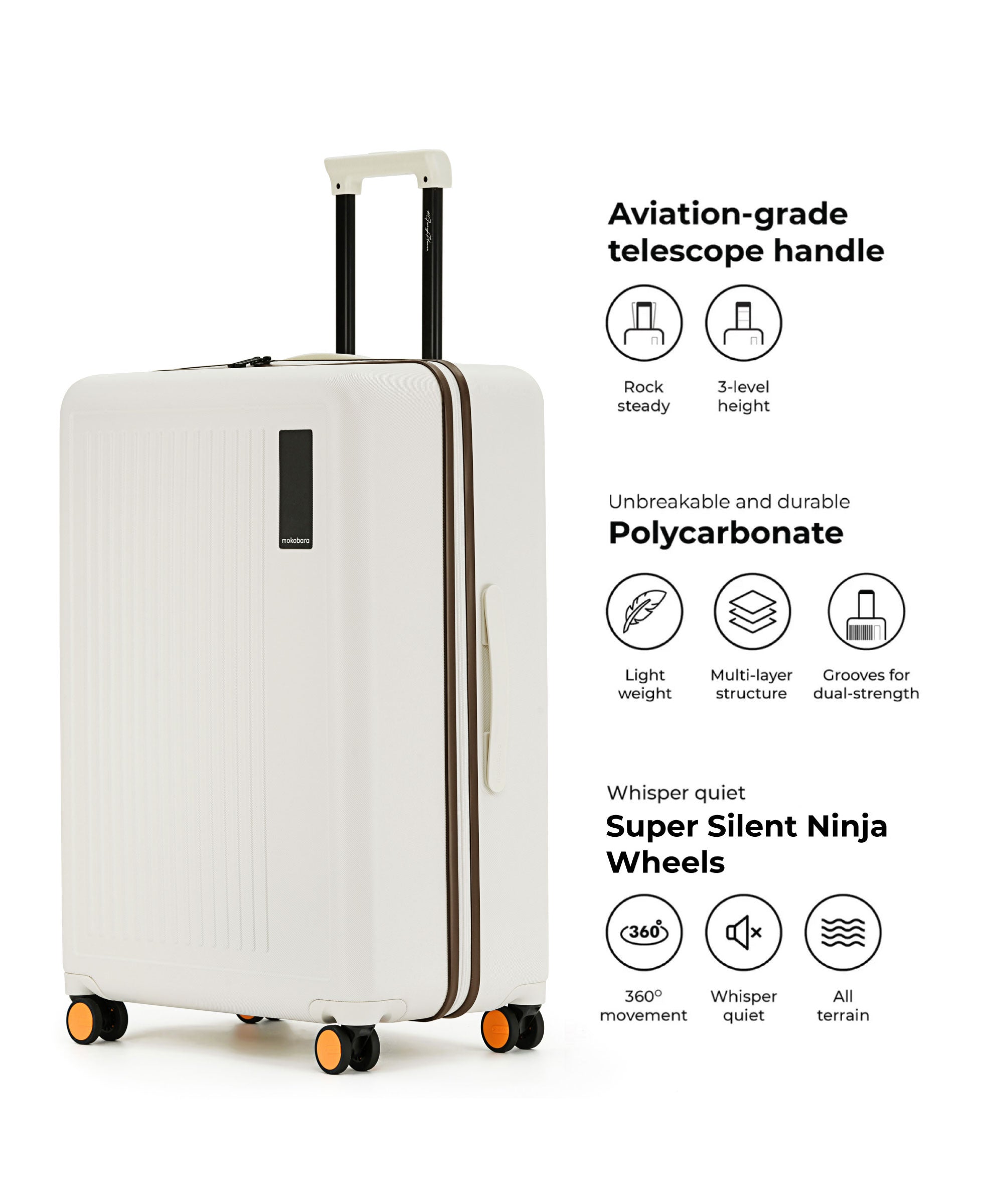 Color_Still Loading Brownray | The Transit Luggage - Check-in Large