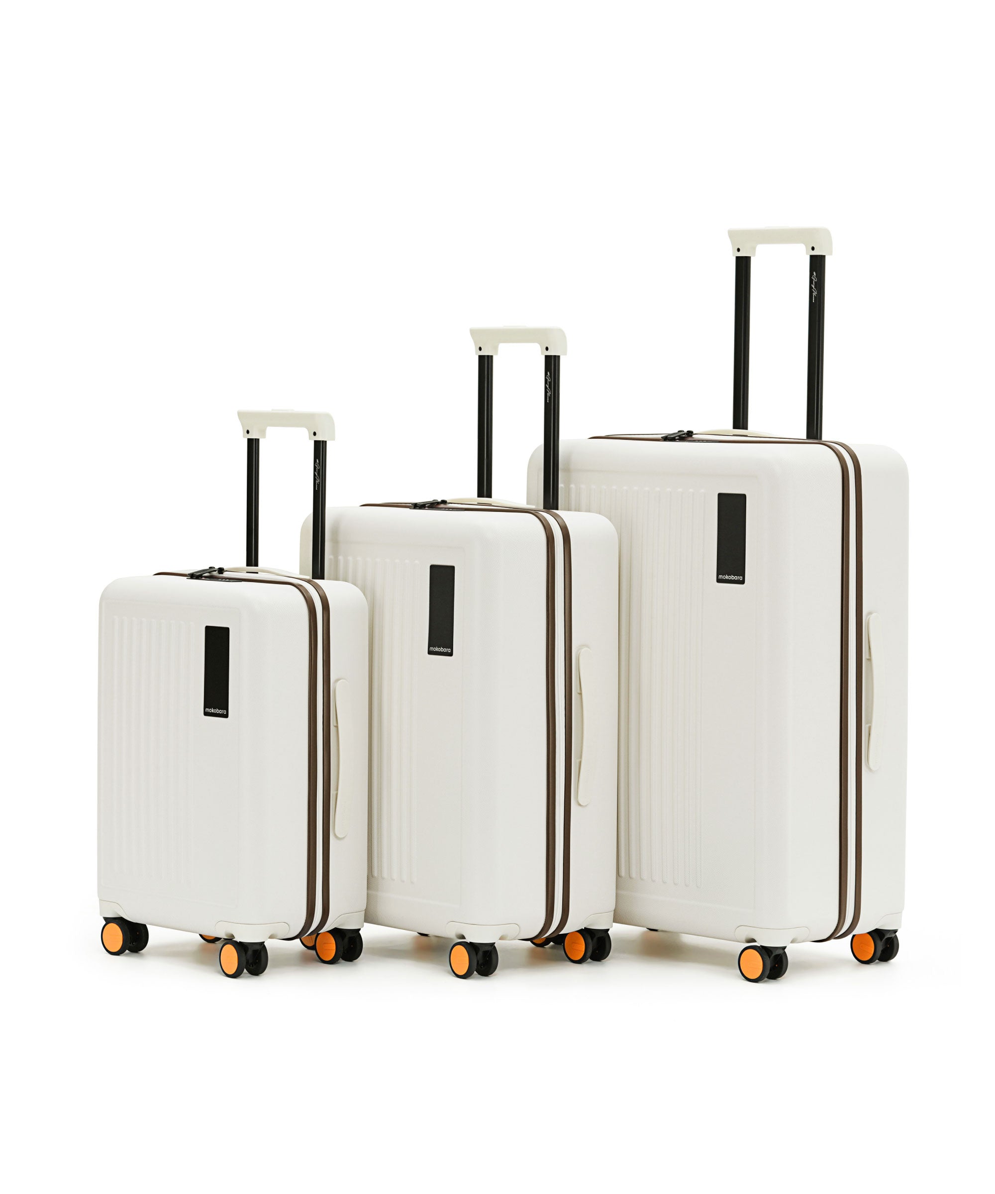 Color_Still Loading Brownray | The Transit Luggage - Set of 3