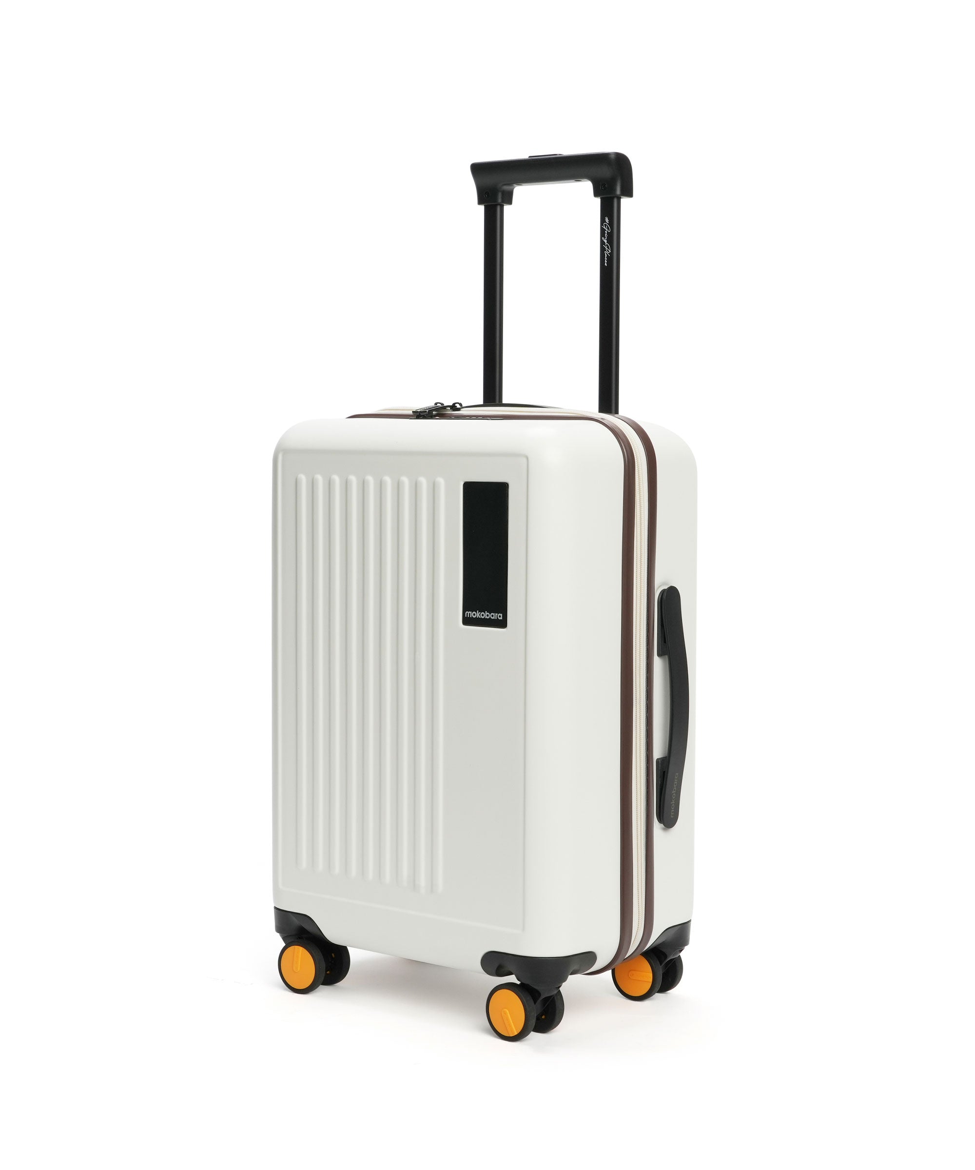 Color_ {{ variants_option }} | The Transit Luggage - Cabin (v1.0)