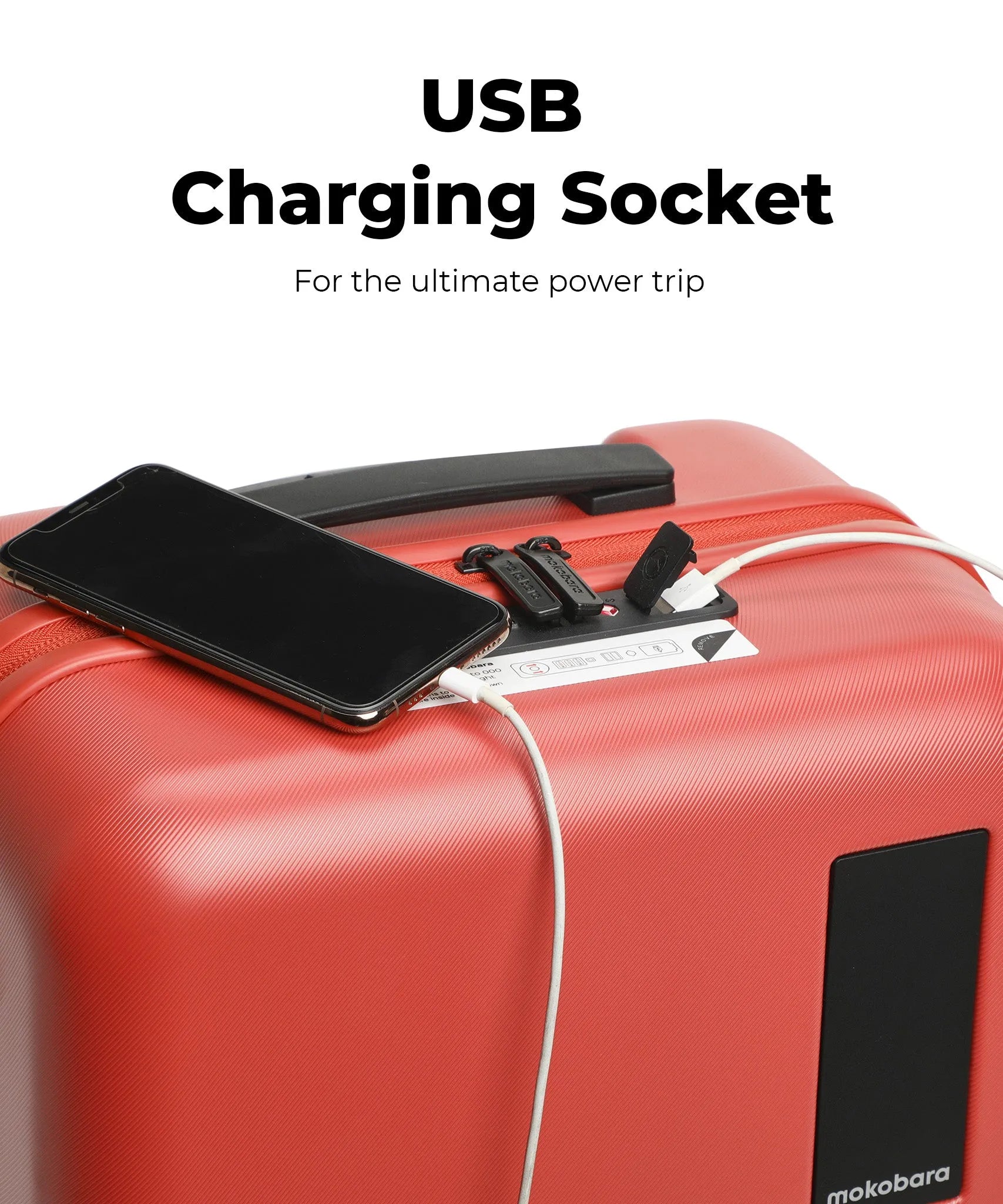 Color_New Standard (Limited Edition) | The Set of 2 Luggage