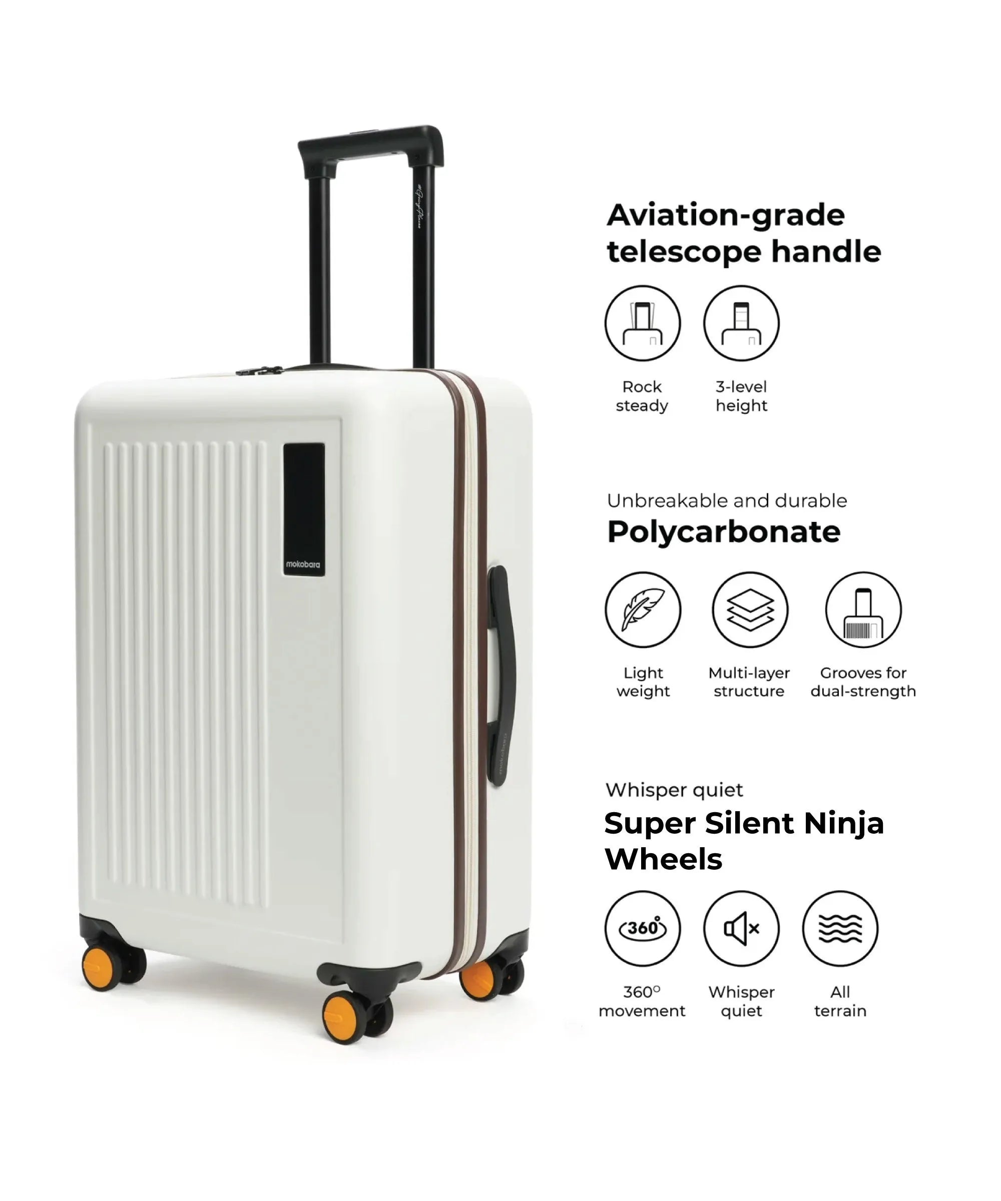 Color_ Still Loading Brownray (Limited Edition) | The Transit Luggage - Set of 2